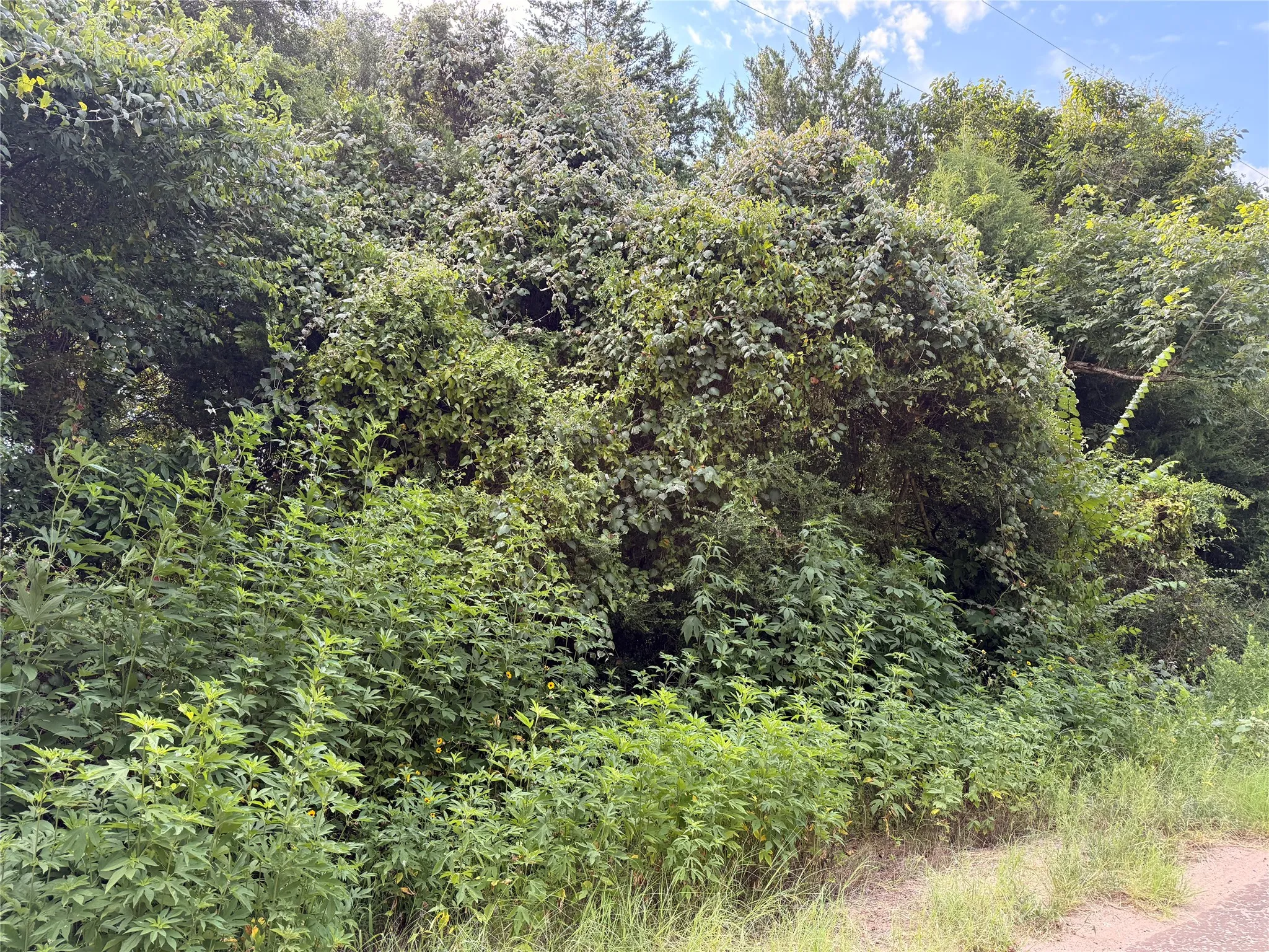 Unimproved Land For Sale in Freestone County , TBD FCR 531, Fairfield, Texas 75840, 0, 0, Garage spaces, 0 Sqft, built in 0, mls#21347796, Real Estate Agent in Fairfield, Homes For Sale in Freestone county, Homes For Sale in Fairfield, Realtor in Fairfield Texas, Real Estate Brokerage Independent Realty Texas, Luminita Cordes Realtor