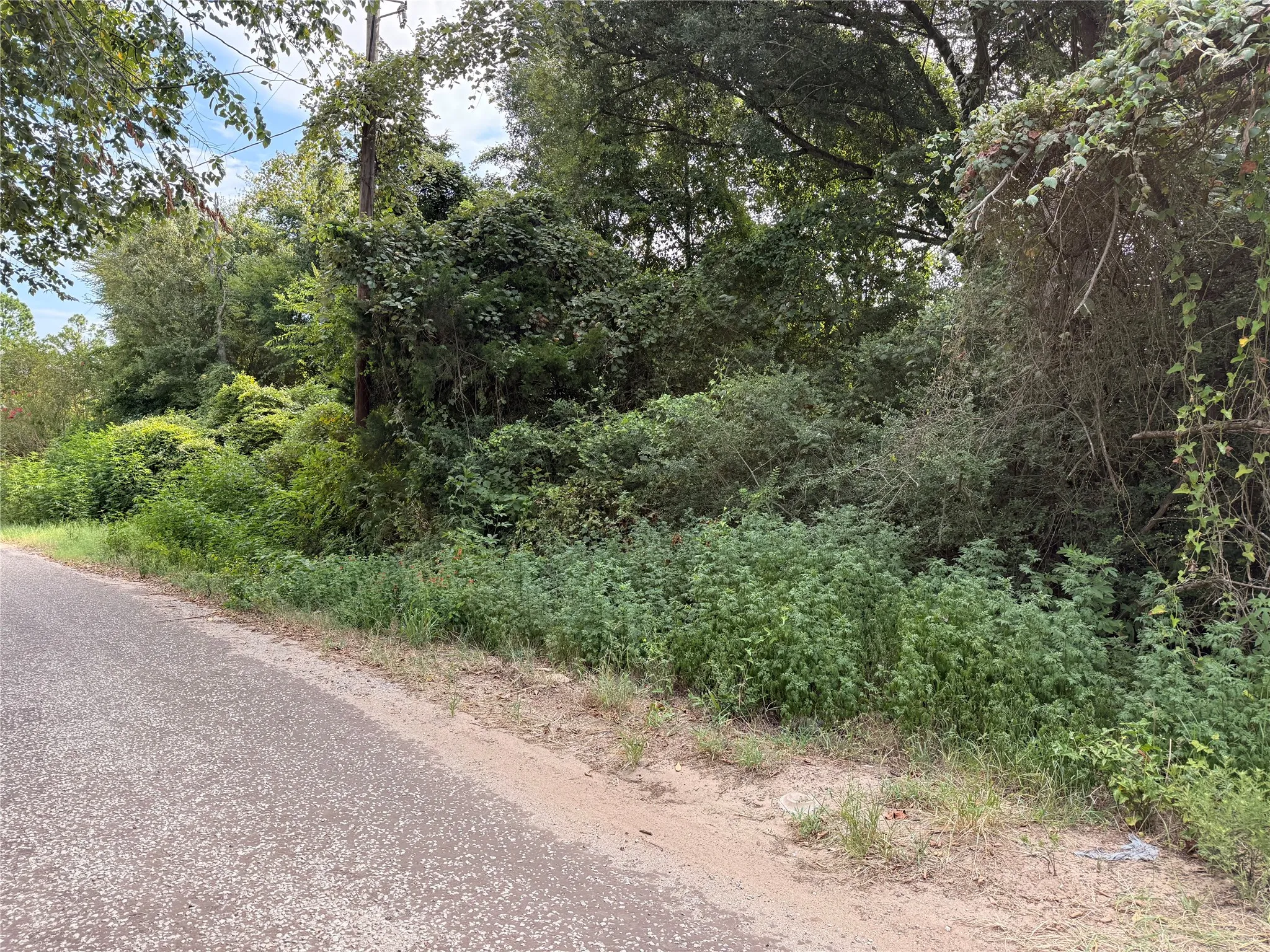Unimproved Land For Sale in Freestone County , TBD FCR 531, Fairfield, Texas 75840, 0, 0, Garage spaces, 0 Sqft, built in 0, mls#21347796, Real Estate Agent in Fairfield, Homes For Sale in Freestone county, Homes For Sale in Fairfield, Realtor in Fairfield Texas, Real Estate Brokerage Independent Realty Texas, Luminita Cordes Realtor
