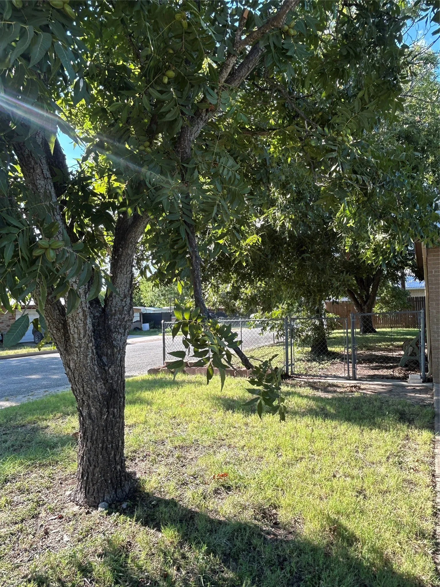 Single Family Residence For Sale in Mills County , 1810 Peach, Goldthwaite, Texas 76844, 3 Bedroom, 2 Bathroom, 1 Garage spaces, 1,334 Sqft, built in 1975, mls#21344988, Real Estate Agent in Goldthwaite, Homes For Sale in Mills county, Homes For Sale in Goldthwaite, Realtor in Goldthwaite Texas, Real Estate Brokerage Independent Realty Texas, Luminita Cordes Realtor