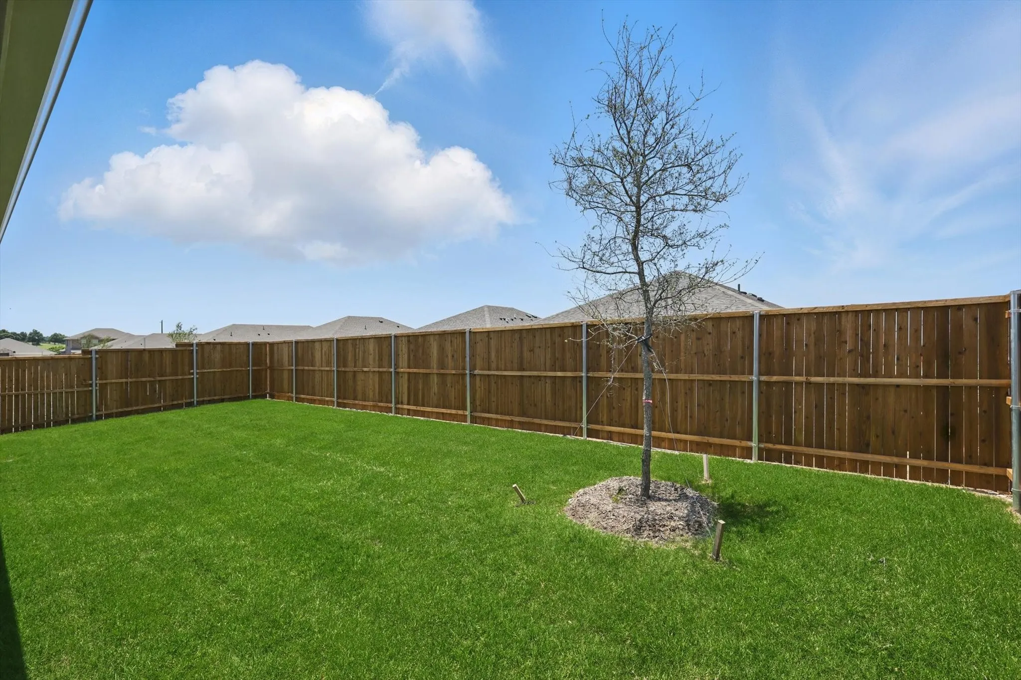 Single Family Residence For Rent in Collin County , 3928 Malachite Drive, Celina, Texas 75009, 4 Bedroom, 2 Bathroom, 2 Garage spaces, 2,065 Sqft, built in 2025, mls#21347824, Real Estate Agent in Celina, Homes For Rent in Collin county, Homes For Rent in Celina, Realtor in Celina Texas, Real Estate Brokerage Independent Realty Texas, Luminita Cordes Realtor