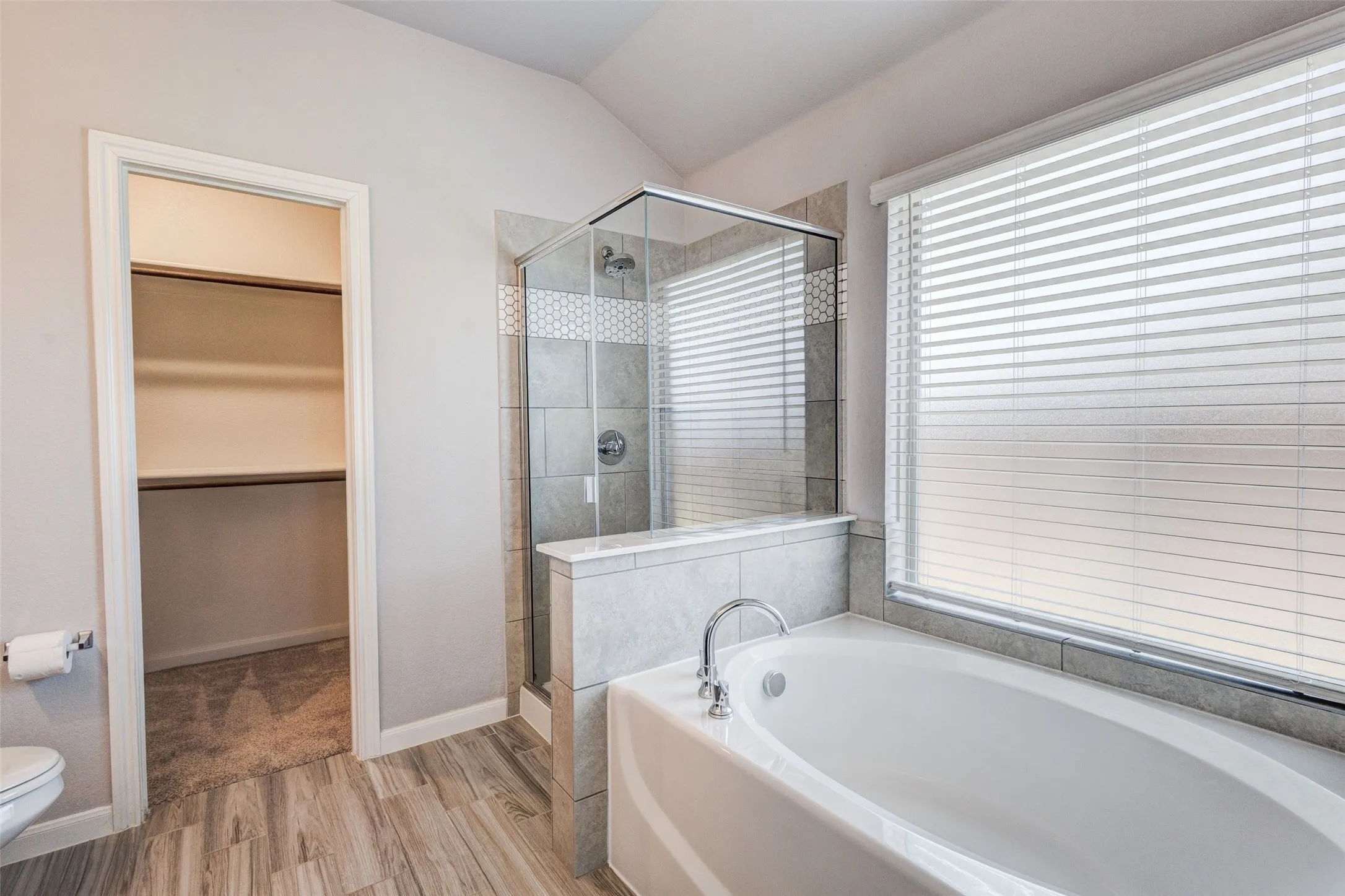 Contemporary bathroom featuring a freestanding tub, glass-enclosed shower, wood-finish flooring, and a walk-in closet with shelving