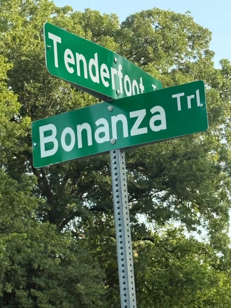 Unimproved Land For Sale in Tarrant County , 7136 Bonanza Trail, Fort Worth, Texas 76135, 0, 0, Garage spaces, 0 Sqft, built in 0, mls#21347406, Real Estate Agent in Fort Worth, Homes For Sale in Tarrant county, Homes For Sale in Fort Worth, Realtor in Fort Worth Texas, Real Estate Brokerage Independent Realty Texas, Luminita Cordes Realtor