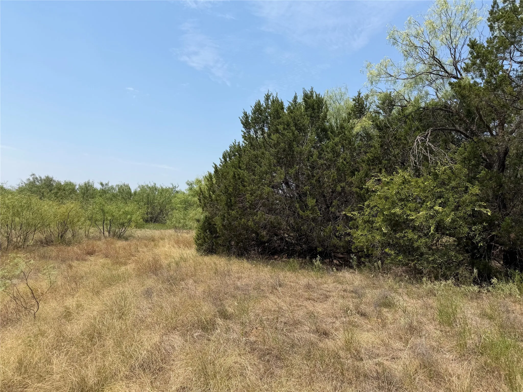 Unimproved Land For Sale in Palo Pinto County , 1260 Sparrow Court, Graford, Texas 76449, 0, 0, Garage spaces, 0 Sqft, built in 0, Price $91,000, mls#21347748, Real Estate Agent in Graford, Homes For Sale in Palo Pinto county, Homes For Sale in Graford, Realtor in Graford Texas, Real Estate Brokerage Independent Realty Texas, Luminita Cordes Realtor