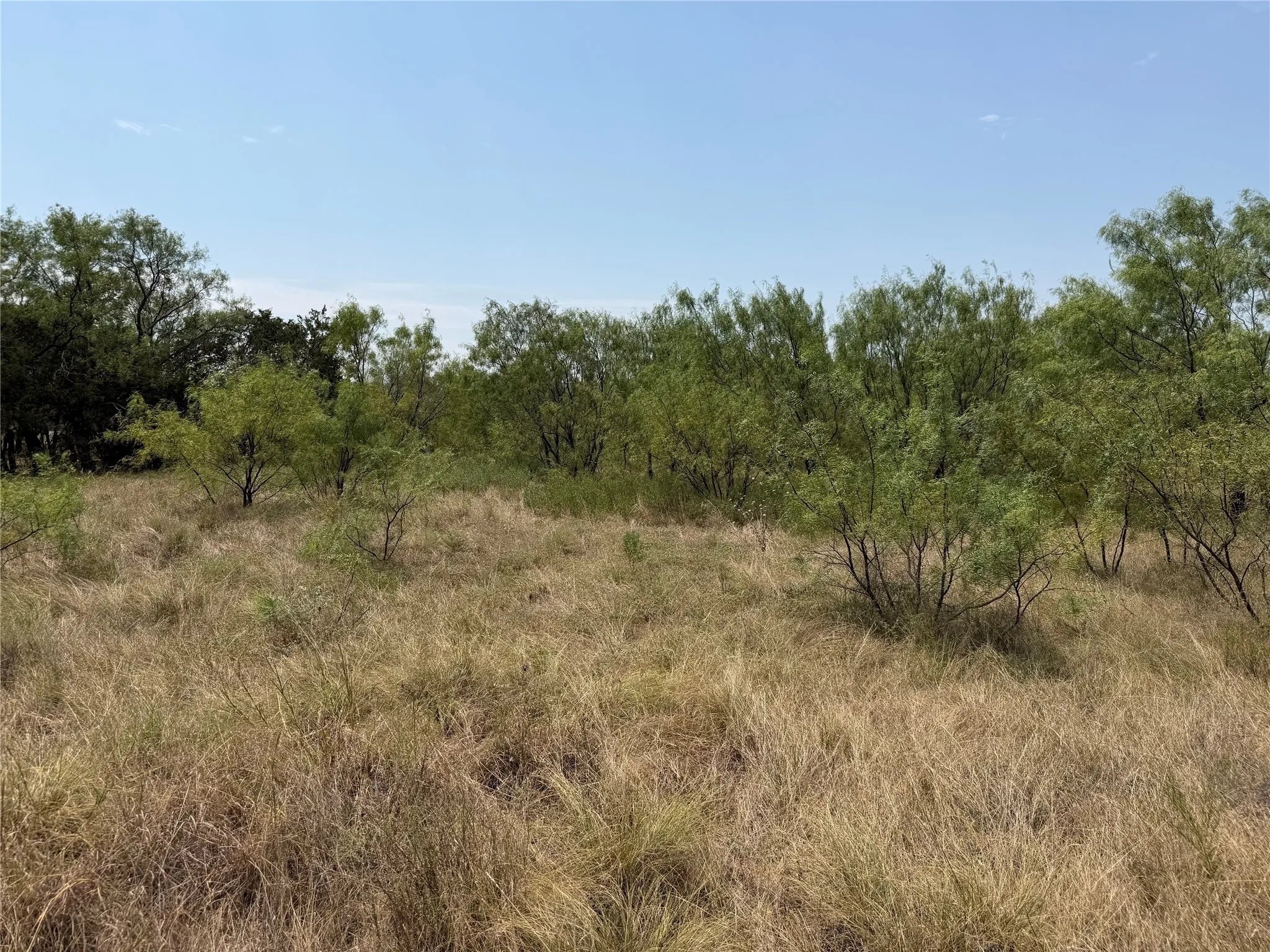 Unimproved Land For Sale in Palo Pinto County , 1260 Sparrow Court, Graford, Texas 76449, 0, 0, Garage spaces, 0 Sqft, built in 0, Price $91,000, mls#21347748, Real Estate Agent in Graford, Homes For Sale in Palo Pinto county, Homes For Sale in Graford, Realtor in Graford Texas, Real Estate Brokerage Independent Realty Texas, Luminita Cordes Realtor
