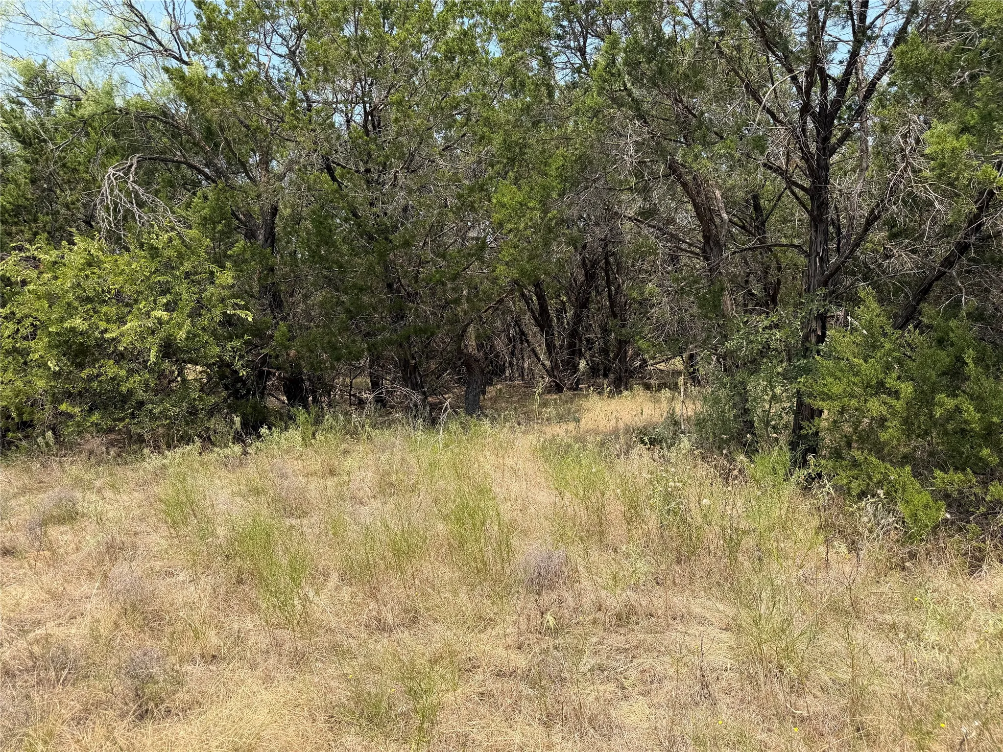Unimproved Land For Sale in Palo Pinto County , 1260 Sparrow Court, Graford, Texas 76449, 0, 0, Garage spaces, 0 Sqft, built in 0, Price $91,000, mls#21347748, Real Estate Agent in Graford, Homes For Sale in Palo Pinto county, Homes For Sale in Graford, Realtor in Graford Texas, Real Estate Brokerage Independent Realty Texas, Luminita Cordes Realtor