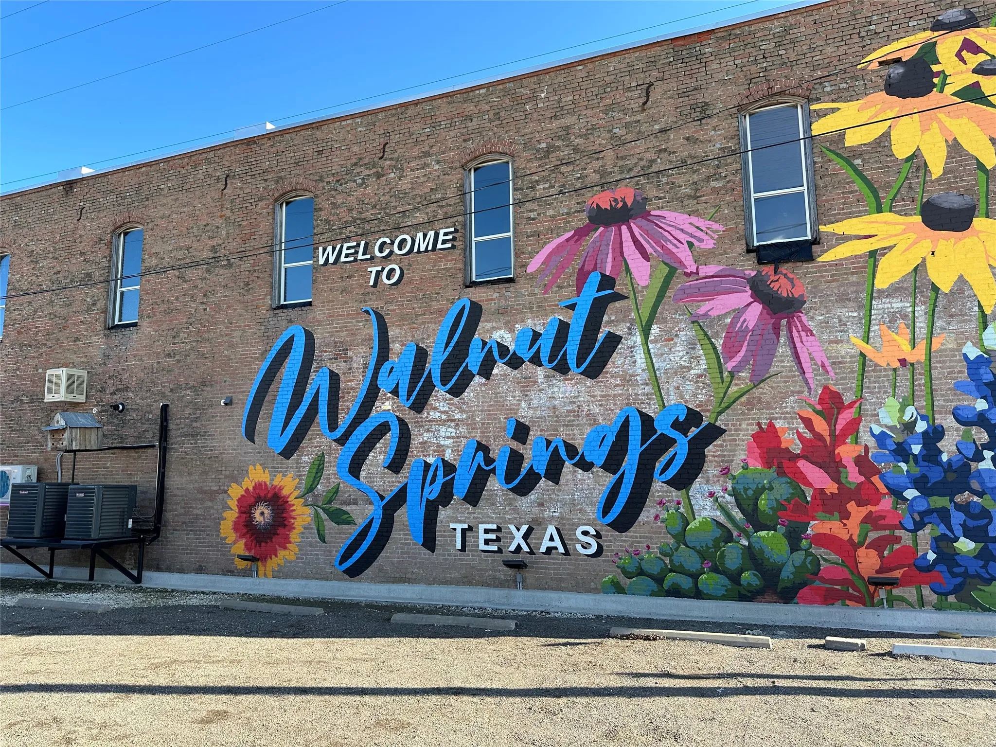 Walnut Springs!