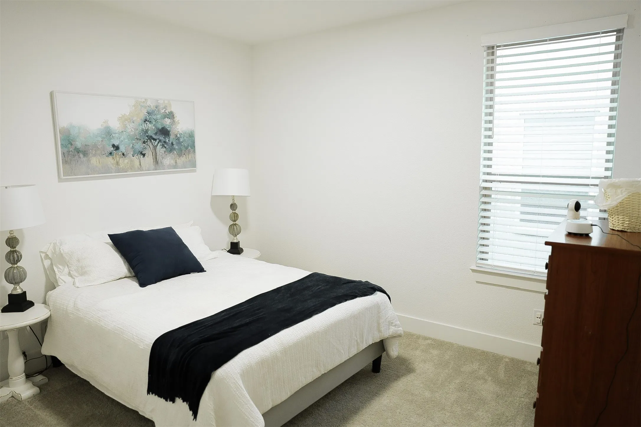 Bright interior room featuring a large window with white blinds, light gray carpeting, white walls, and a white baseboard trim