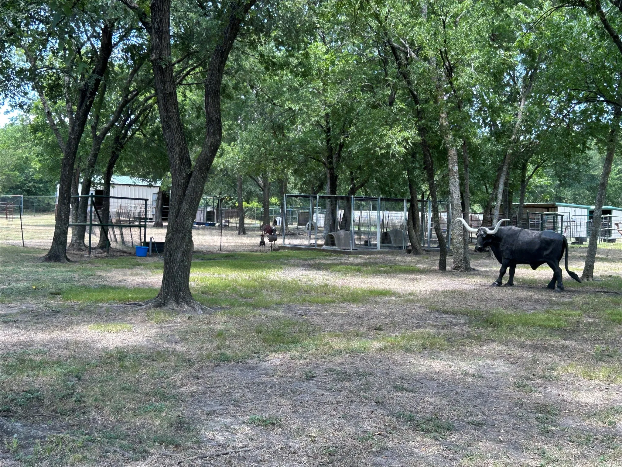 Farm For Sale in Ellis County , 2200 Creechville Road, Ennis, Texas 75119, 3 Bedroom, 2 Bathroom, Garage spaces, 2,150 Sqft, built in 2001, mls#21347974, Real Estate Agent in Ennis, Homes For Sale in Ellis county, Homes For Sale in Ennis, Realtor in Ennis Texas, Real Estate Brokerage Independent Realty Texas, Luminita Cordes Realtor
