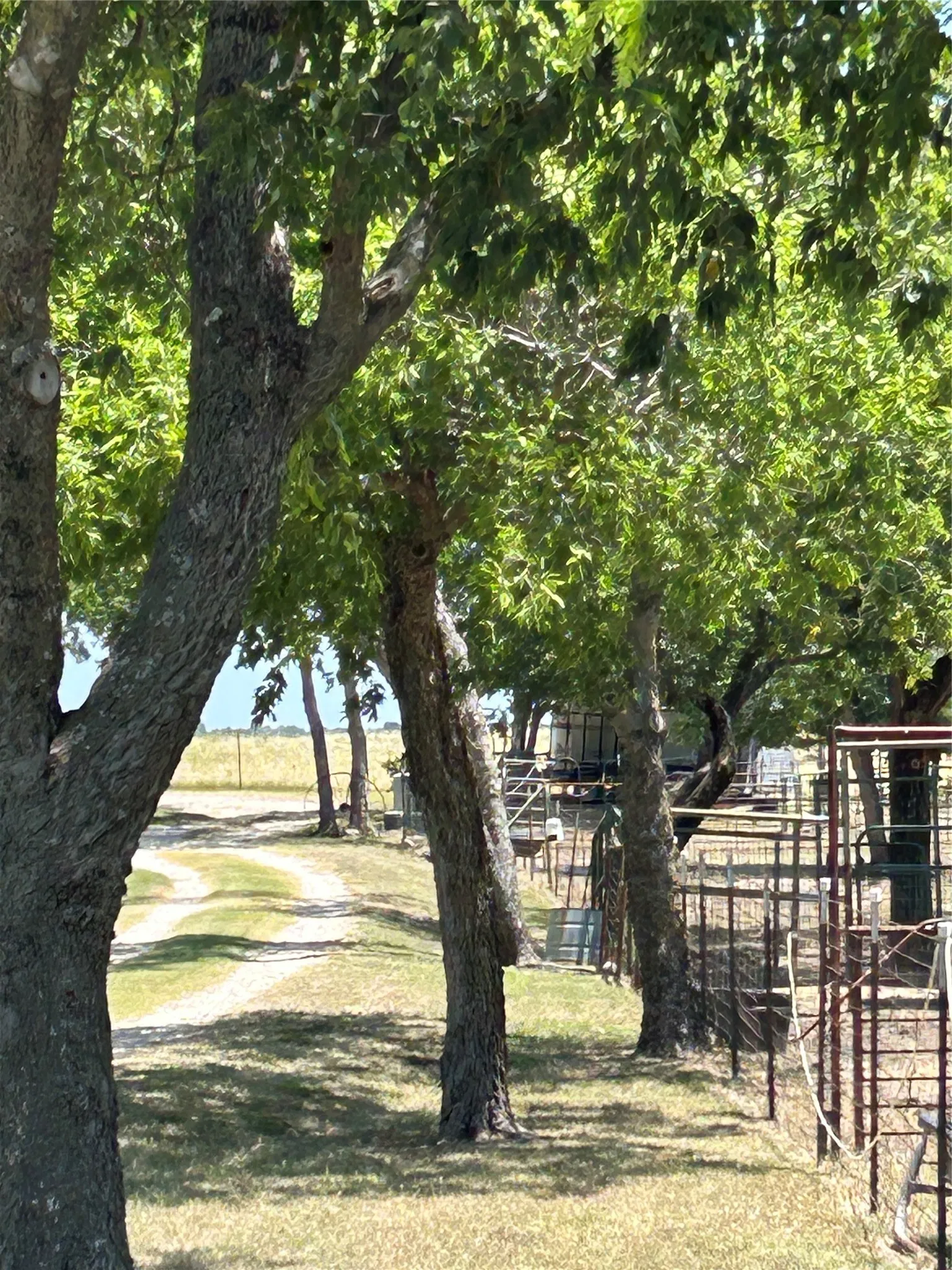 Farm For Sale in Ellis County , 2200 Creechville Road, Ennis, Texas 75119, 3 Bedroom, 2 Bathroom, Garage spaces, 2,150 Sqft, built in 2001, mls#21347974, Real Estate Agent in Ennis, Homes For Sale in Ellis county, Homes For Sale in Ennis, Realtor in Ennis Texas, Real Estate Brokerage Independent Realty Texas, Luminita Cordes Realtor