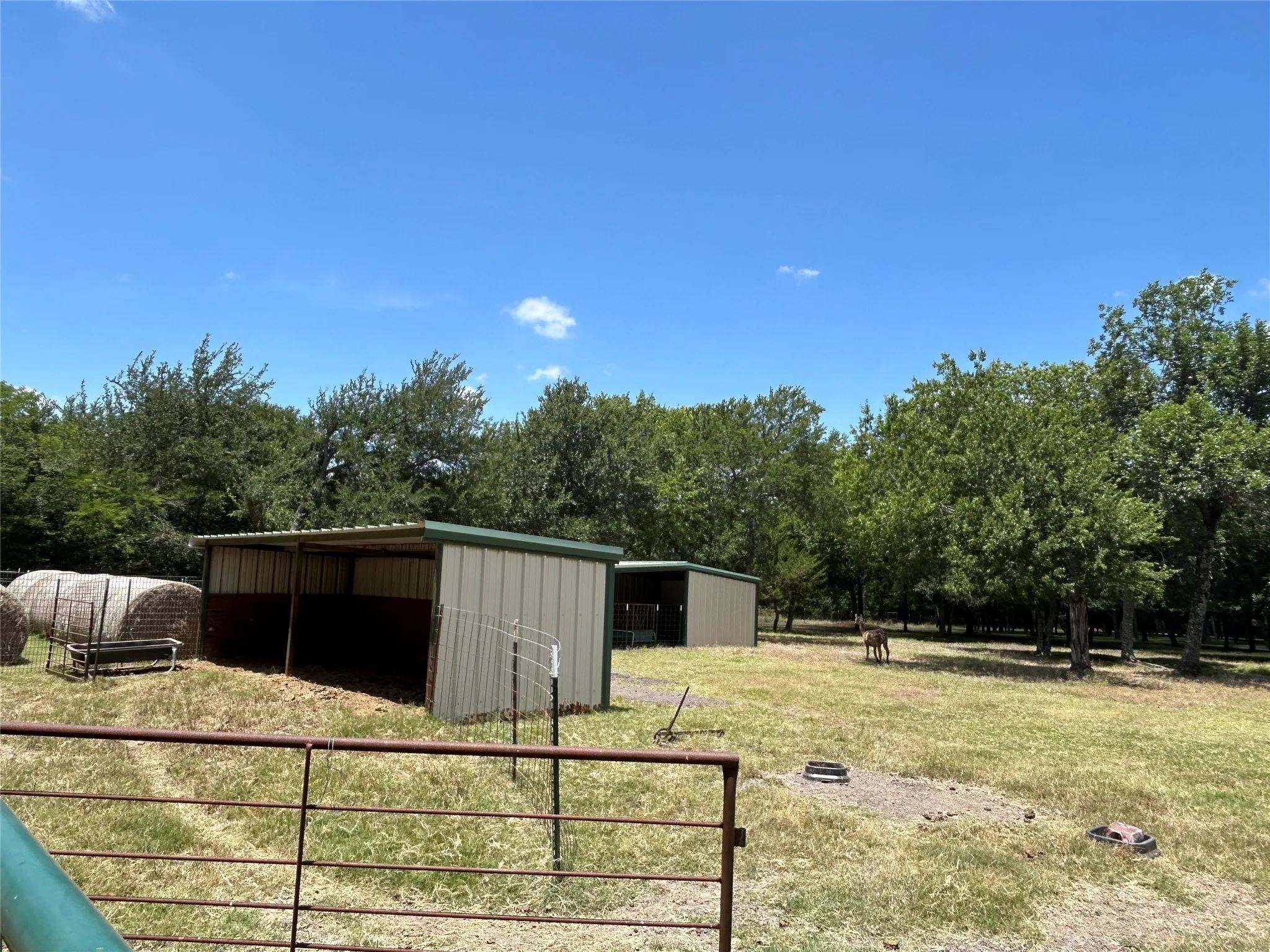 Farm For Sale in Ellis County , 2200 Creechville Road, Ennis, Texas 75119, 3 Bedroom, 2 Bathroom, Garage spaces, 2,150 Sqft, built in 2001, mls#21347974, Real Estate Agent in Ennis, Homes For Sale in Ellis county, Homes For Sale in Ennis, Realtor in Ennis Texas, Real Estate Brokerage Independent Realty Texas, Luminita Cordes Realtor