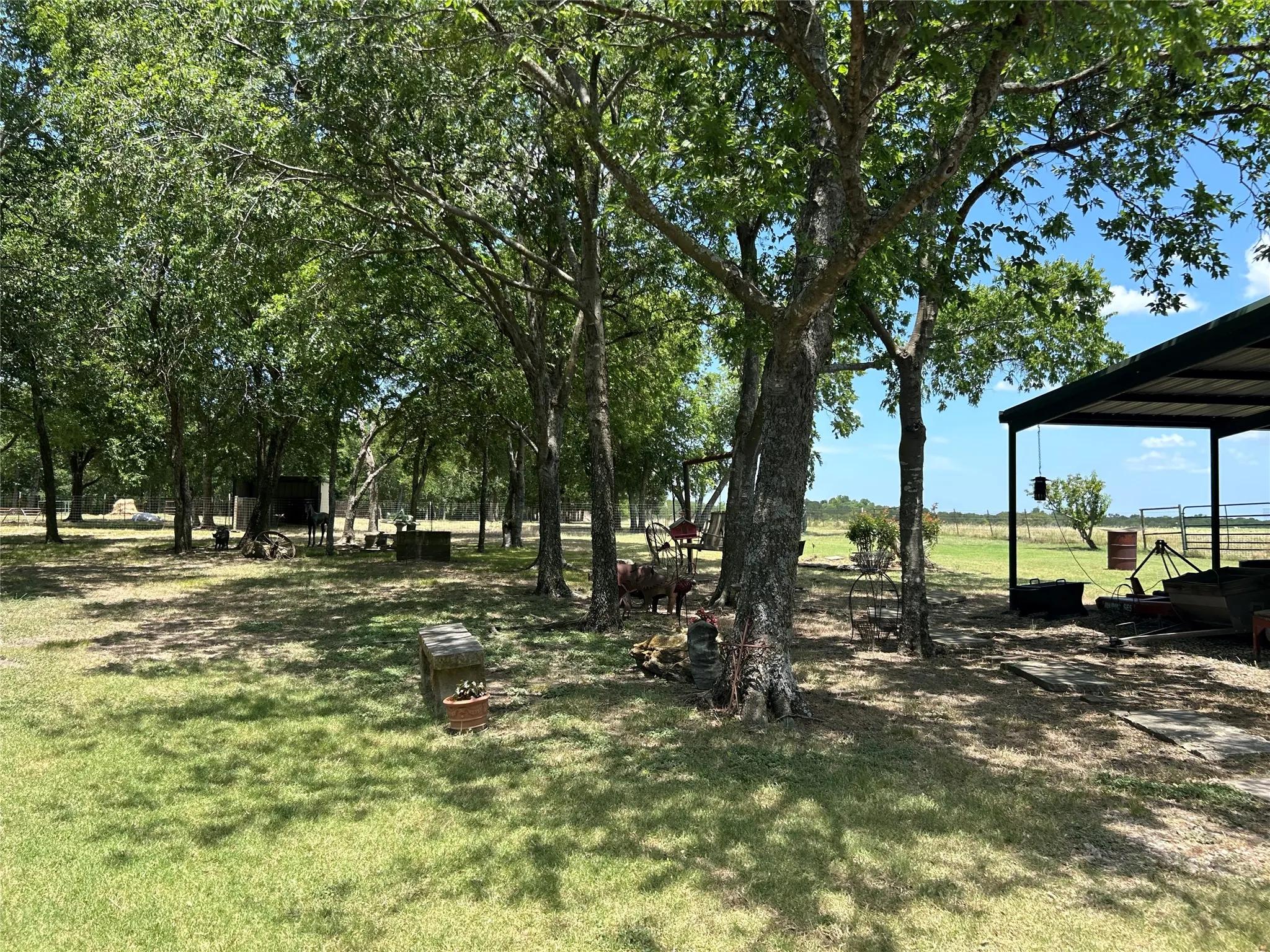 Expansive shaded yard featuring mature deciduous trees and a large metal-roofed structure