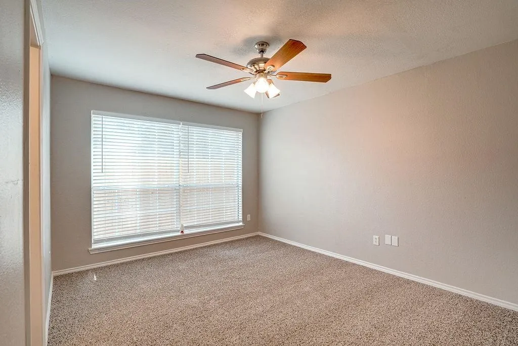 Neutral tone walls with white trim, featuring a ceiling fan with light fixture, carpet flooring, and a large window with blinds