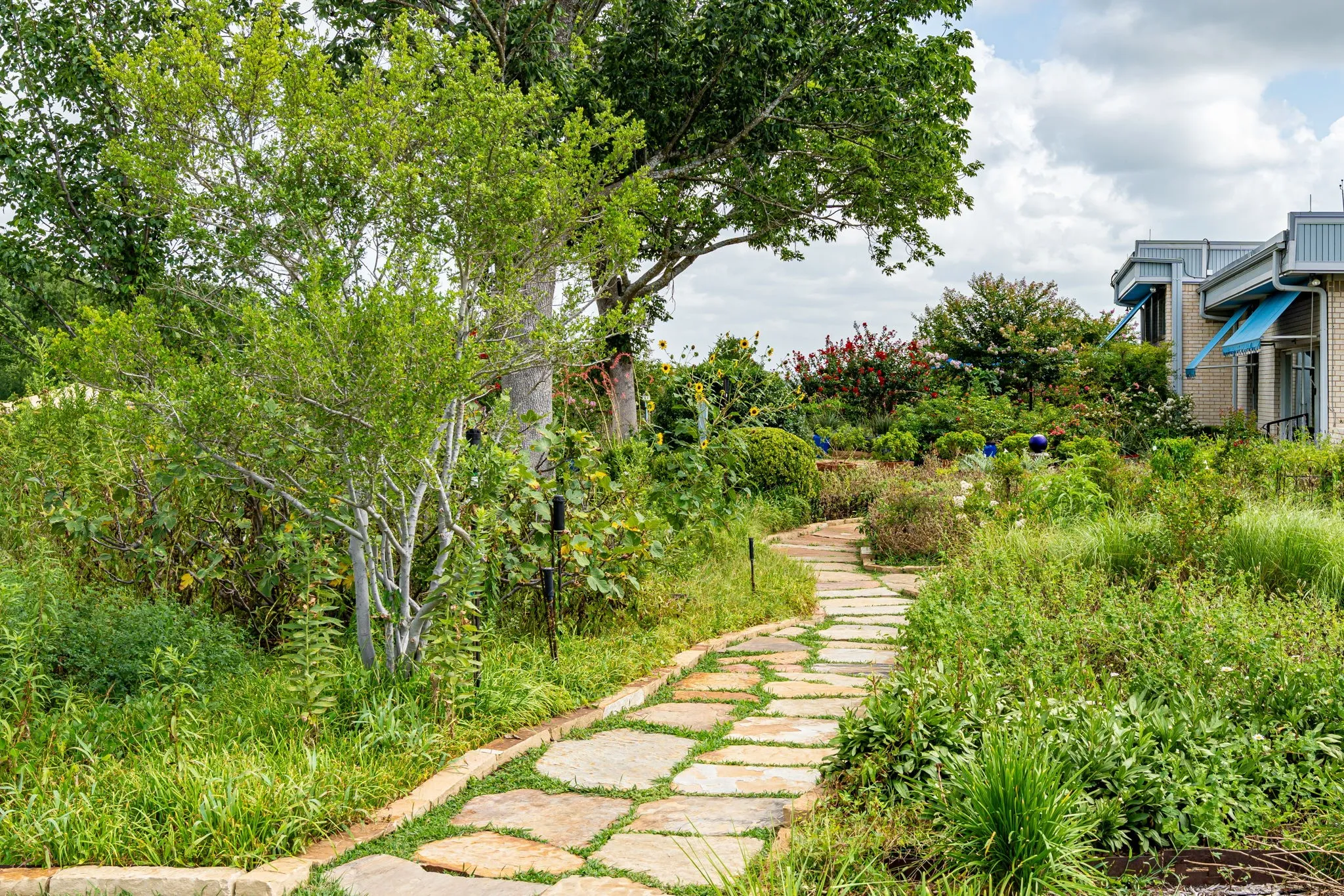 Just a glimpse of many such similar settings with native plants, stone walks that keep in the character and compliment the natural settings.  This path leads to the home.