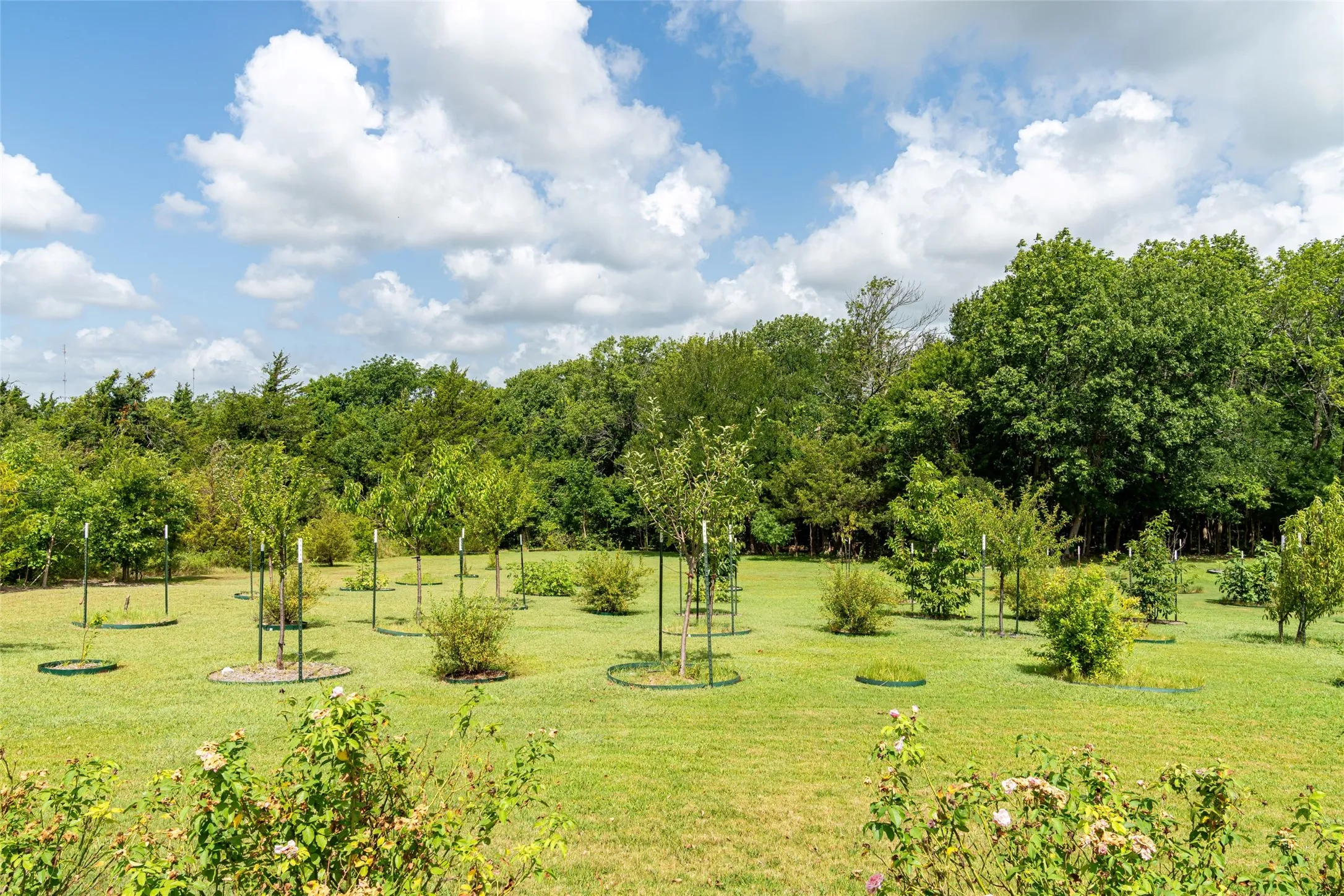 Orchard of various fruit trees.  The estate has numerous perennial gardens with well- established organic herbs, rose & flowers.  Irrigation on the large lawn areas are with extensive 24 stations sprinkler & irrigation systems that cover approximately 20 acres.