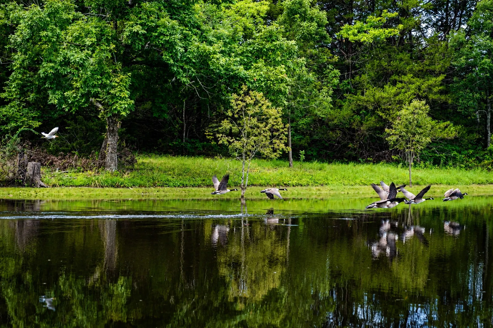 A 50-foot man-made pond that is approximately one acre in size offers a serene setting to watch the wildlife, ducks, fish and relax.