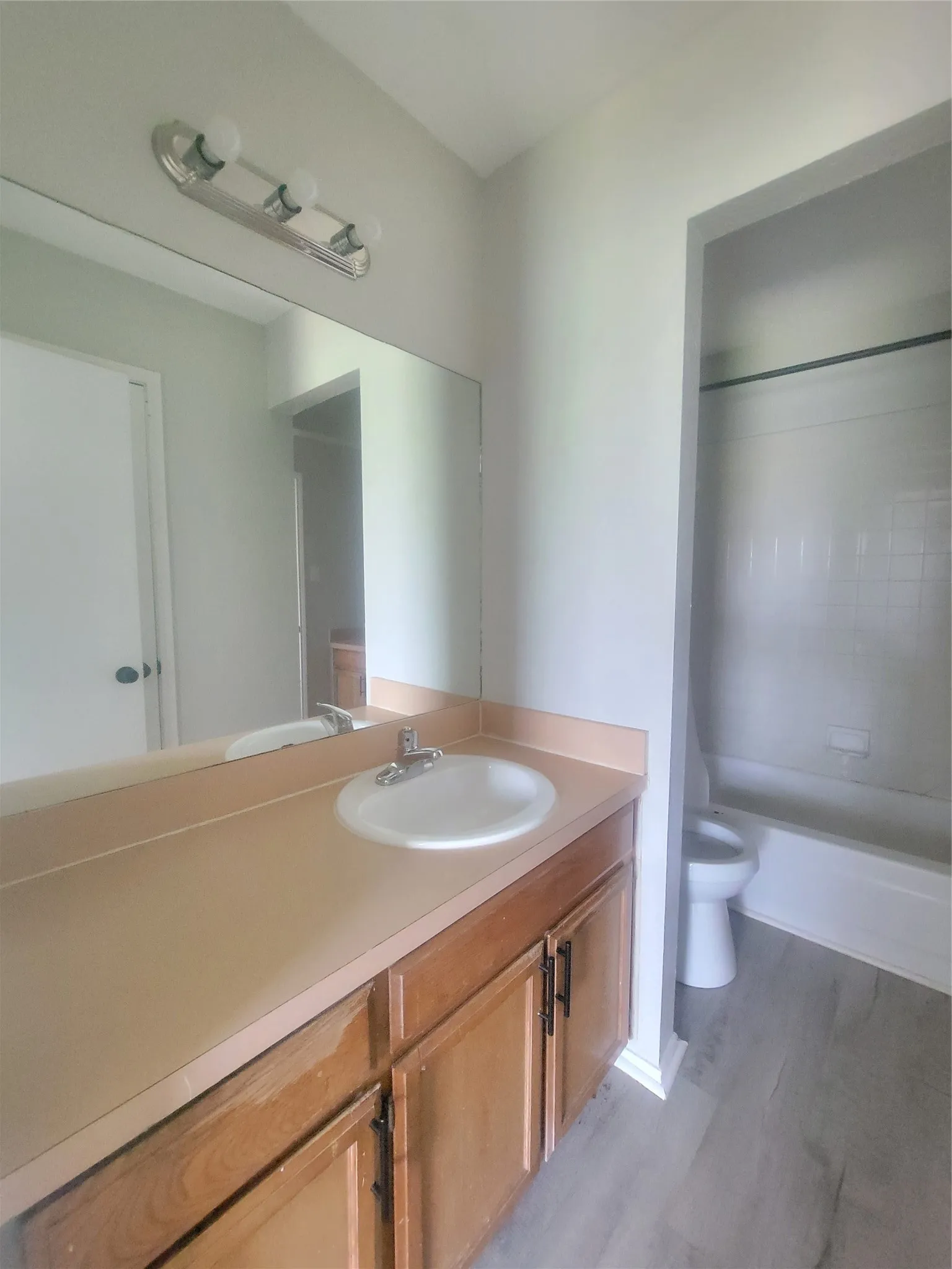 Bathroom featuring a wood-finish vanity with an integrated sink, a large wall-mounted mirror, a three-bulb vanity light, and light gray wood-finish flooring