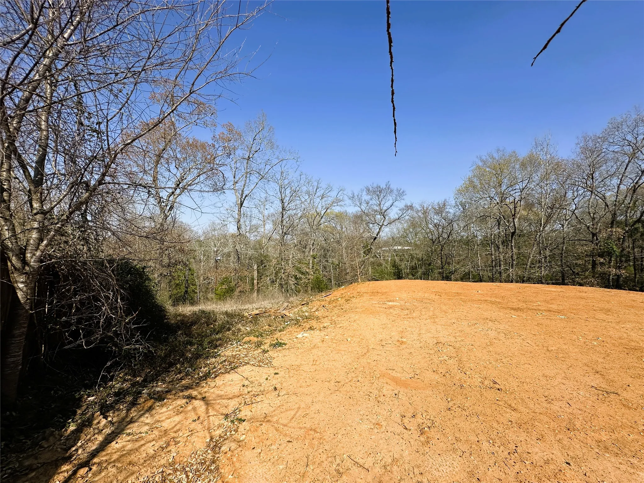 Unimproved Land For Sale in Anderson County , 110 Elmwood Ct, Palestine, Texas 75801, 0, 0, Garage spaces, 0 Sqft, built in 2025, mls#21348022, Real Estate Agent in Palestine, Homes For Sale in Anderson county, Homes For Sale in Palestine, Realtor in Palestine Texas, Real Estate Brokerage Independent Realty Texas, Luminita Cordes Realtor