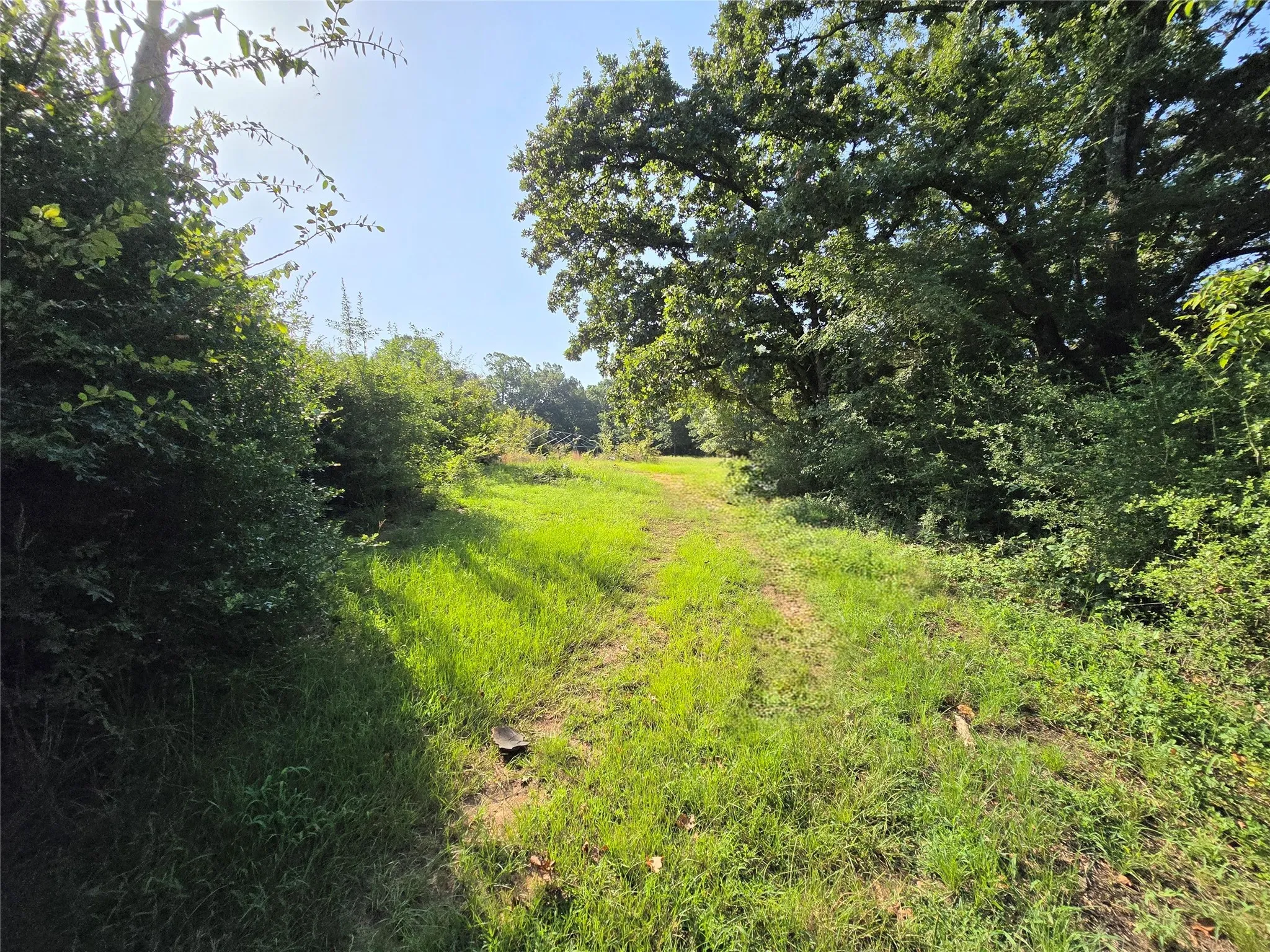 Single Family Residence For Sale in Anderson County , 570 An County Road 2419, Montalba, Texas 75853, 3 Bedroom, 2 Bathroom, Garage spaces, 2,070 Sqft, built in 1969, mls#21347481, Real Estate Agent in Montalba, Homes For Sale in Anderson county, Homes For Sale in Montalba, Realtor in Montalba Texas, Real Estate Brokerage Independent Realty Texas, Luminita Cordes Realtor