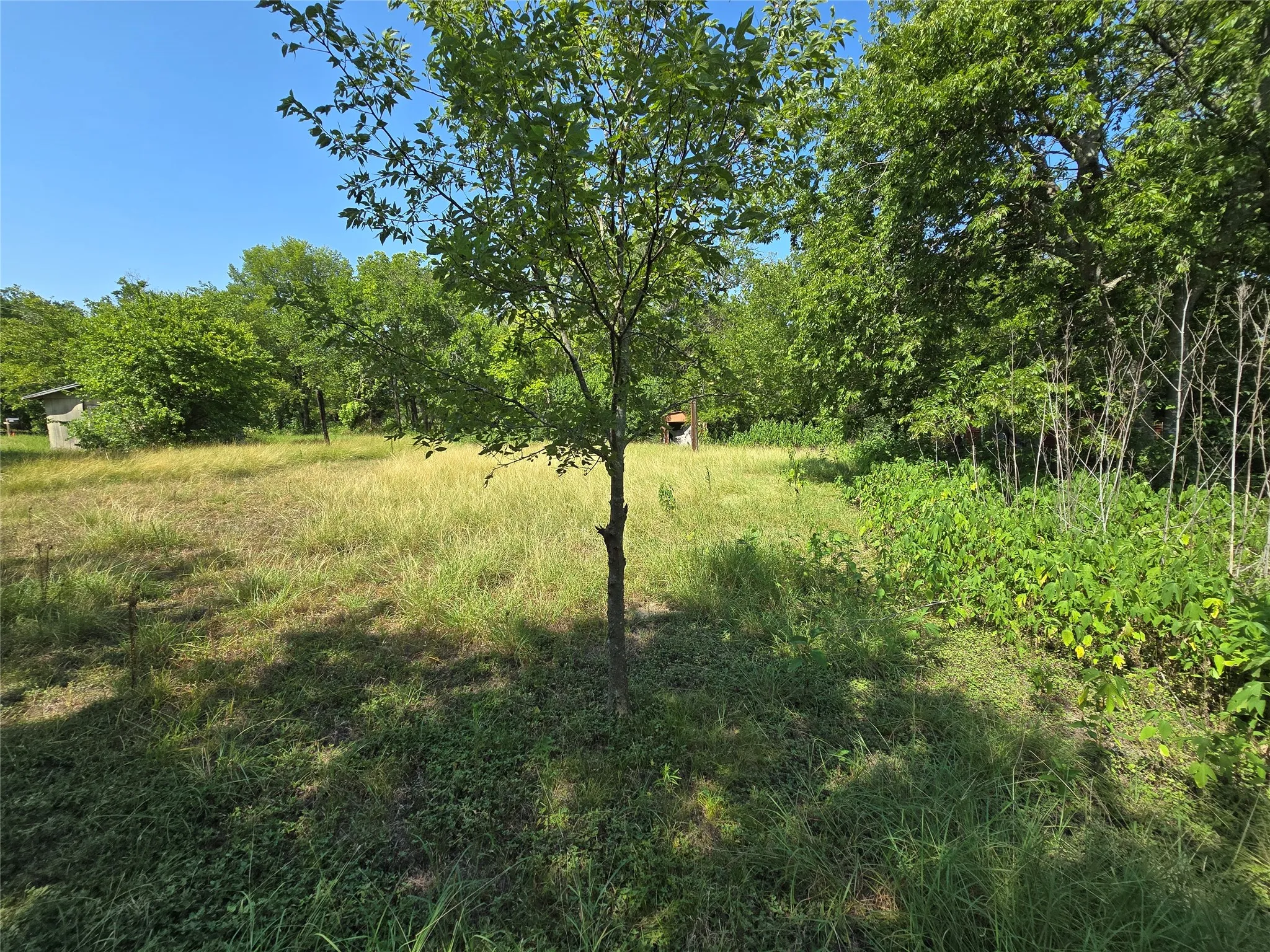 Improved Land For Sale in Hill County , 702 SW 3rd Street, Hubbard, Texas 76648, 0, 0, Garage spaces, 0 Sqft, built in 0, mls#21347457, Real Estate Agent in Hubbard, Homes For Sale in Hill county, Homes For Sale in Hubbard, Realtor in Hubbard Texas, Real Estate Brokerage Independent Realty Texas, Luminita Cordes Realtor