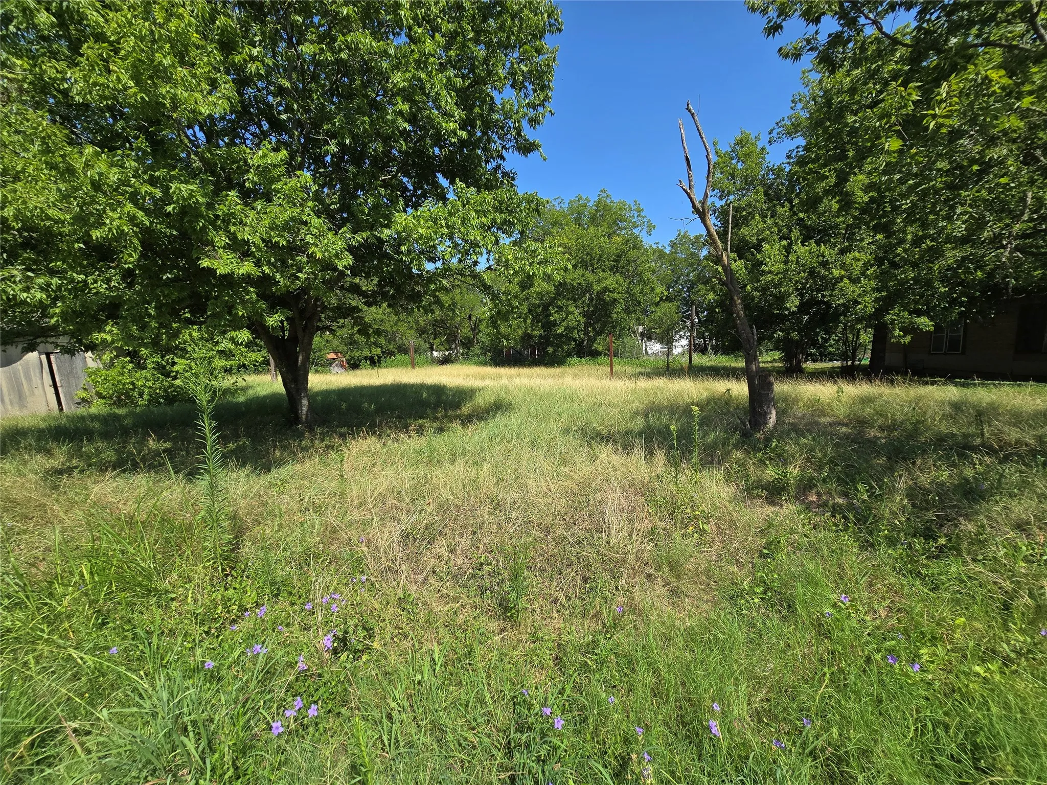 Improved Land For Sale in Hill County , 702 SW 3rd Street, Hubbard, Texas 76648, 0, 0, Garage spaces, 0 Sqft, built in 0, mls#21347457, Real Estate Agent in Hubbard, Homes For Sale in Hill county, Homes For Sale in Hubbard, Realtor in Hubbard Texas, Real Estate Brokerage Independent Realty Texas, Luminita Cordes Realtor