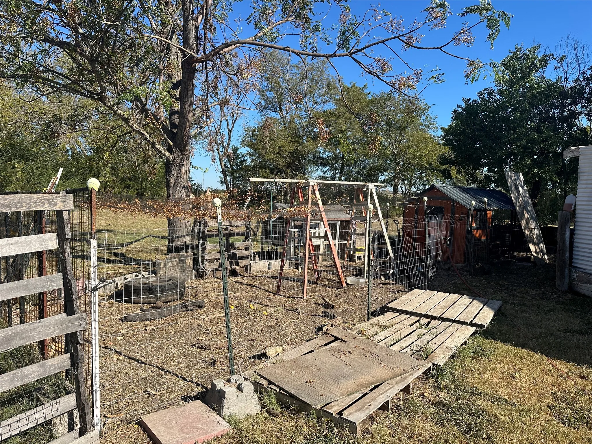 Chicken Coop