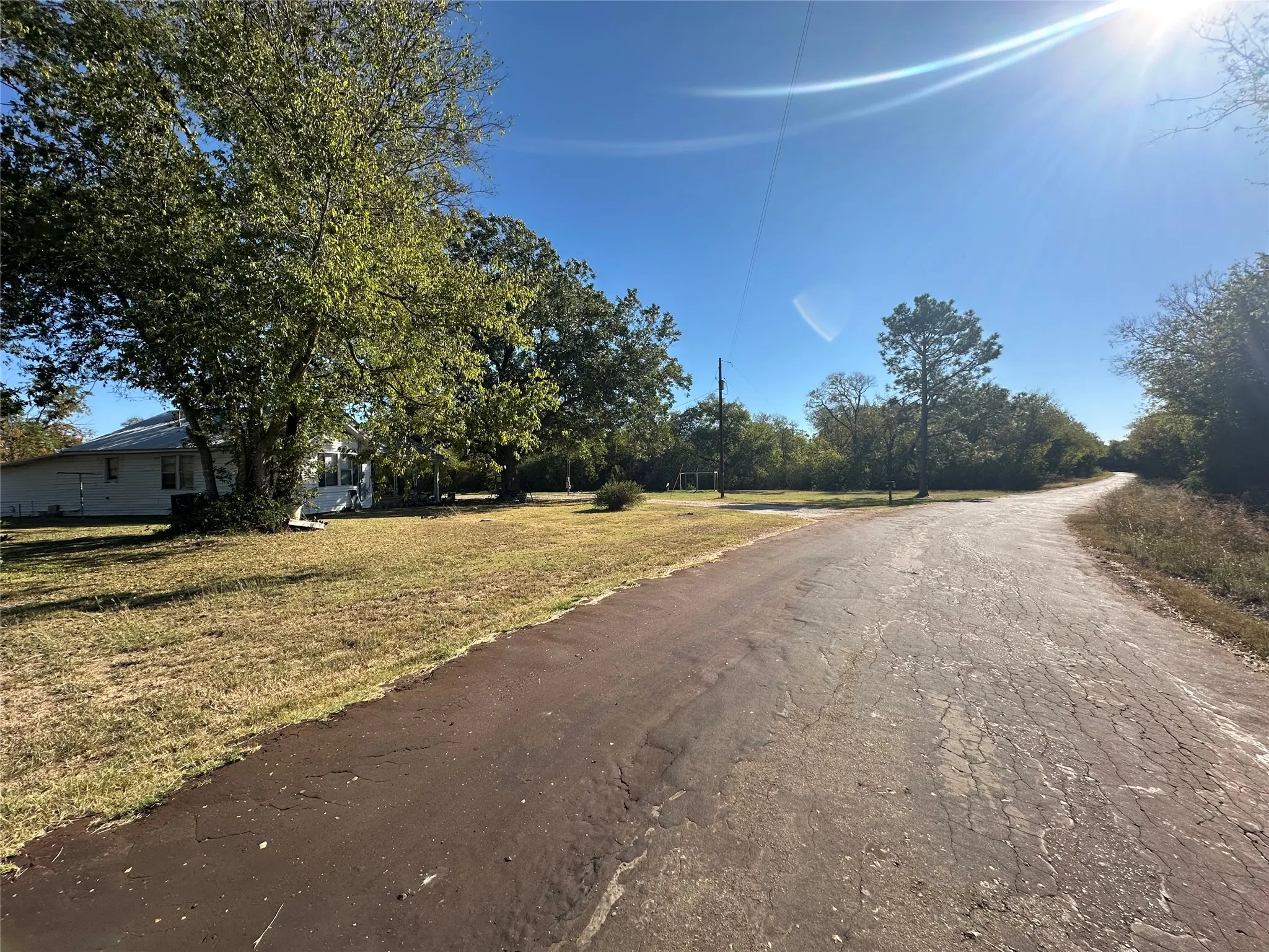 Expansive lot featuring a winding paved drive and mature trees