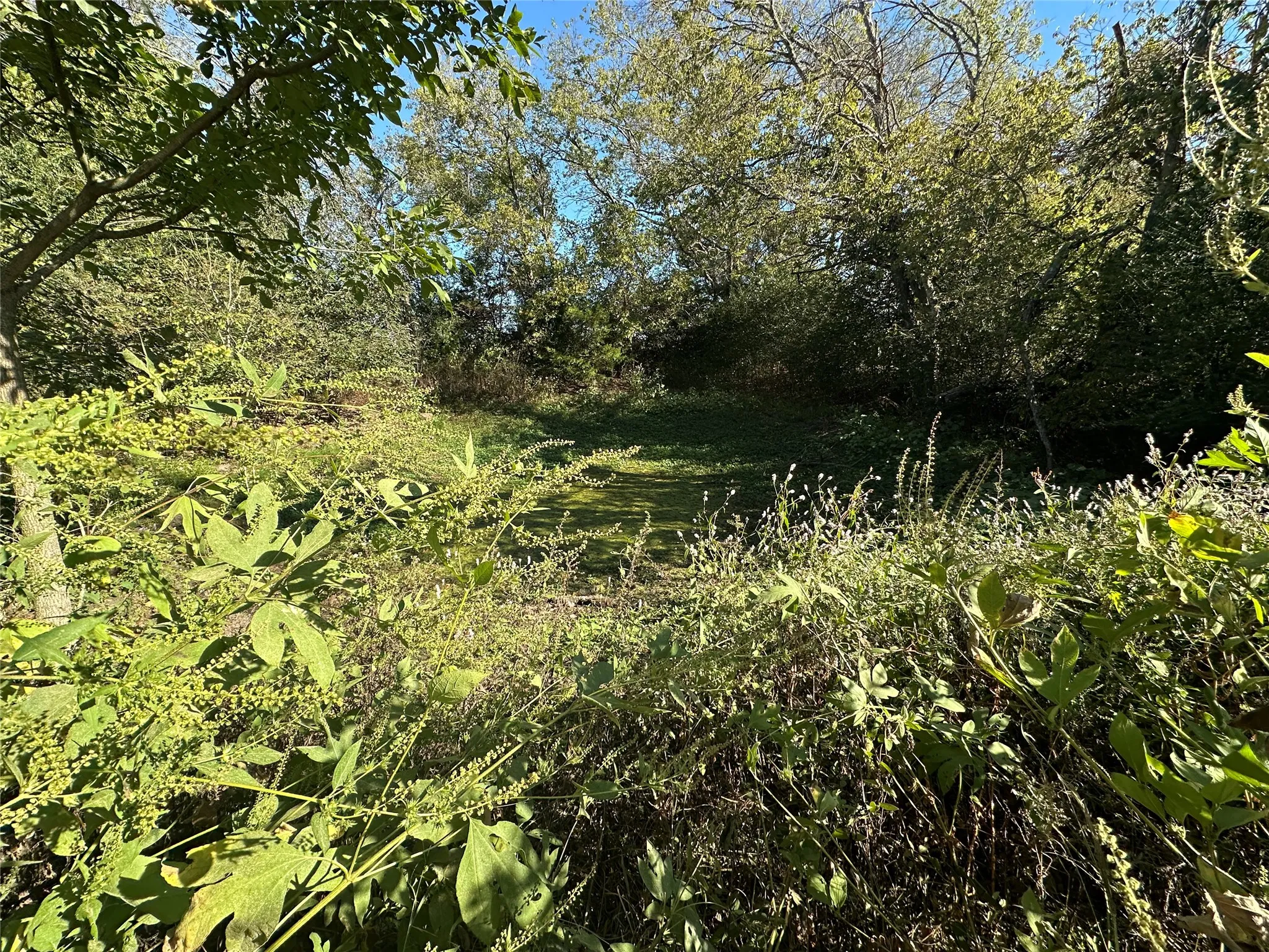 Shallow Pond in the Corner of Property