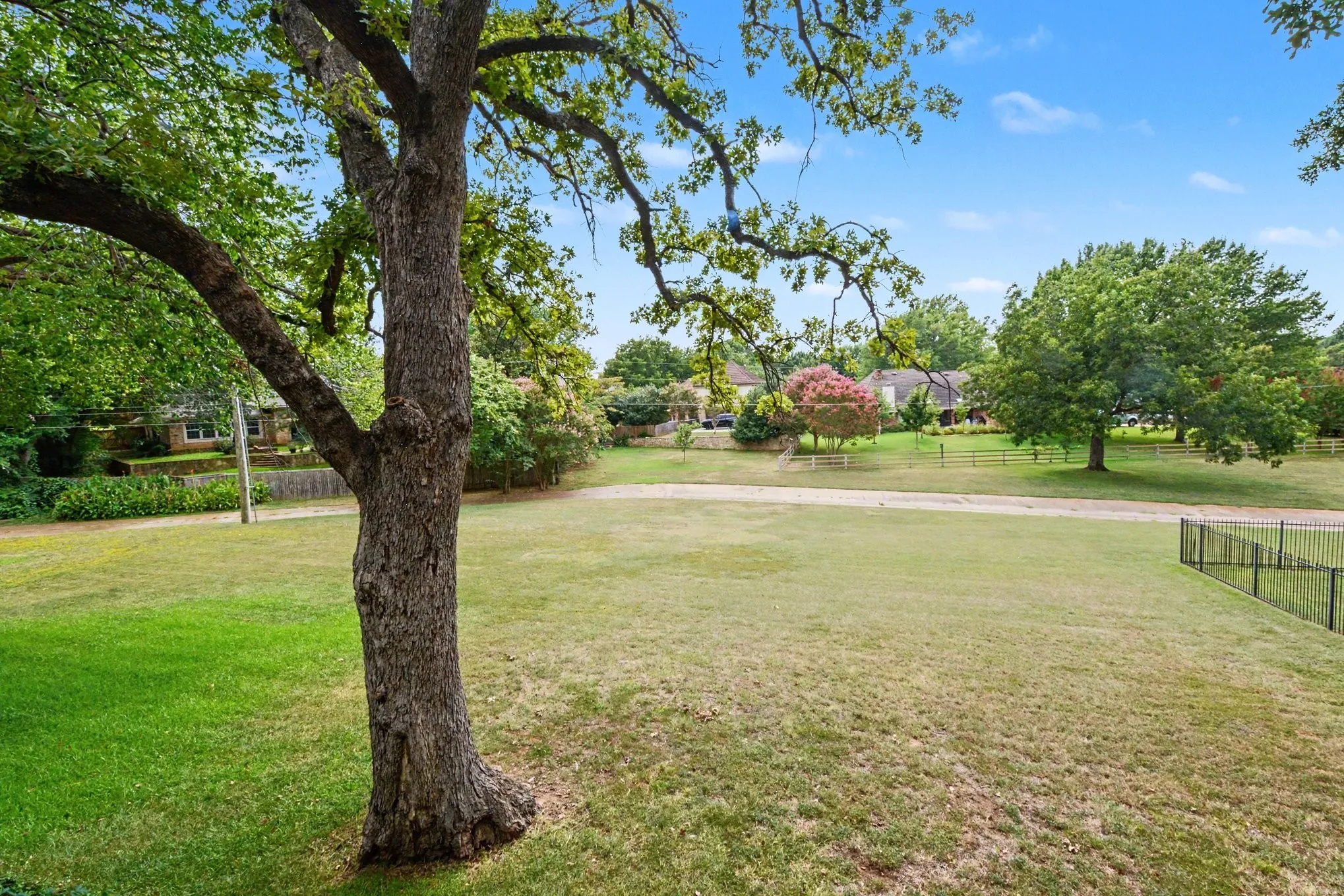 Expansive green space featuring a prominent mature tree