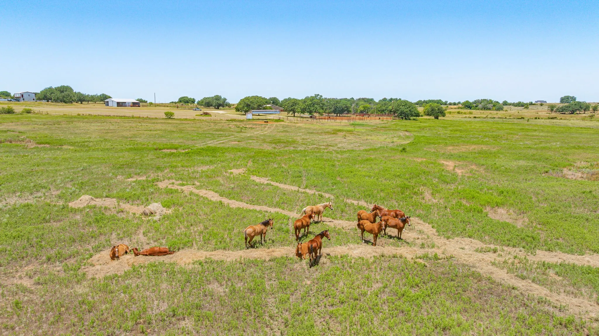 Farm For Sale in Erath County , 100 - A County Road 519, Stephenville, Texas 76401, 3 Bedrooms, 2 Bathrooms, Garage spaces, 3,370 Sqft, built in 1994, Price $1,500,000, mls#21348123, Real Estate Agent in Stephenville, Homes For Sale in Erath county, Homes For Sale in Stephenville, Realtor in Stephenville Texas, Real Estate Brokerage Independent Realty Texas, Luminita Cordes Realtor