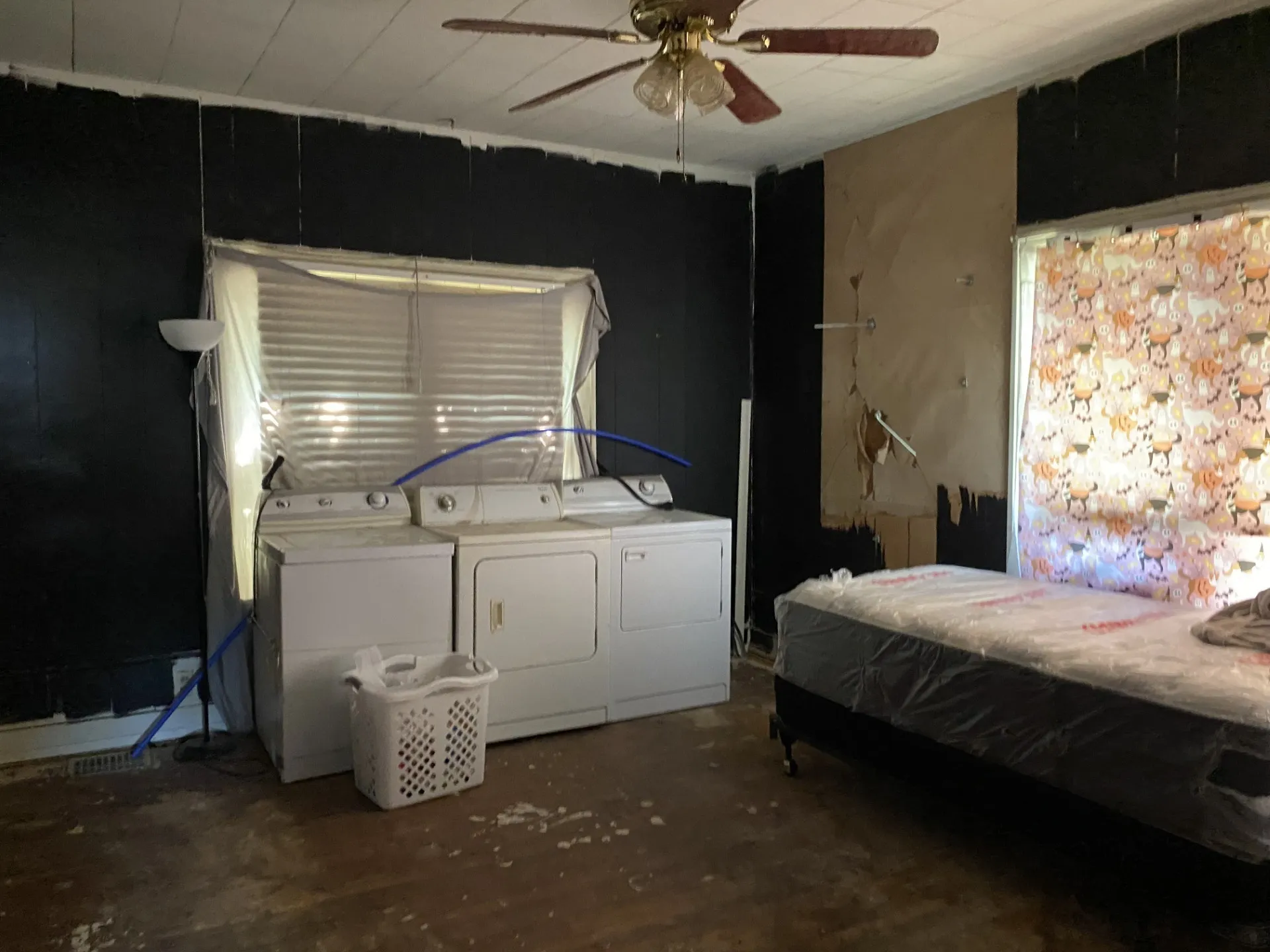 Single Family Residence For Rent in Wichita County , 2017 Mcgregor Avenue, Wichita Falls, Texas 76301, 4 Bedrooms, 2 Bathrooms, Garage spaces, 1,835 Sqft, built in 1925, Price $800, mls#21348136, Real Estate Agent in Wichita Falls, Homes For Rent in Wichita county, Homes For Rent in Wichita Falls, Realtor in Wichita Falls Texas, Real Estate Brokerage Independent Realty Texas, Luminita Cordes Realtor