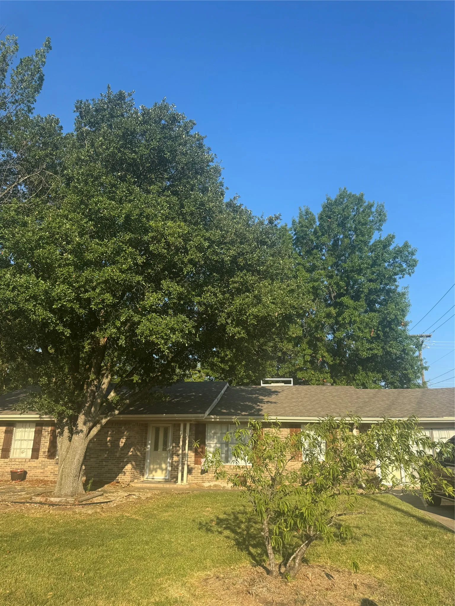 Single Family Residence For Sale in Hunt County , 2601 S Park Street, Commerce, Texas 75428, 3 Bedroom, 2 Bathroom, Garage spaces, 2,292 Sqft, built in 1964, mls#21348131, Real Estate Agent in Commerce, Homes For Sale in Hunt county, Homes For Sale in Commerce, Realtor in Commerce Texas, Real Estate Brokerage Independent Realty Texas, Luminita Cordes Realtor