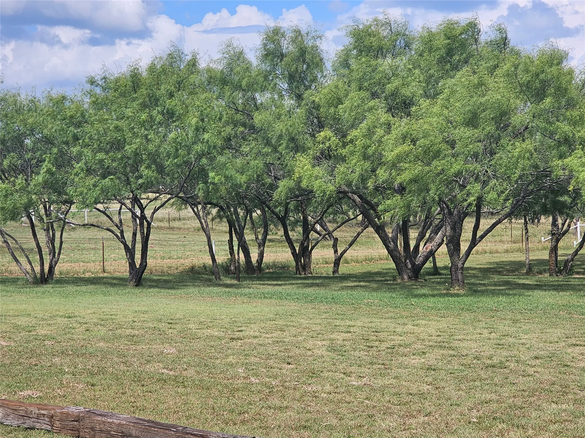 Business For Sale in Eastland County , 1500 W Loop 254, Ranger, Texas 76470, 0, 0, Garage spaces, 0 Sqft, built in 1996, Price $300,000, mls#21348148, Real Estate Agent in Ranger, Homes For Sale in Eastland county, Homes For Sale in Ranger, Realtor in Ranger Texas, Real Estate Brokerage Independent Realty Texas, Luminita Cordes Realtor