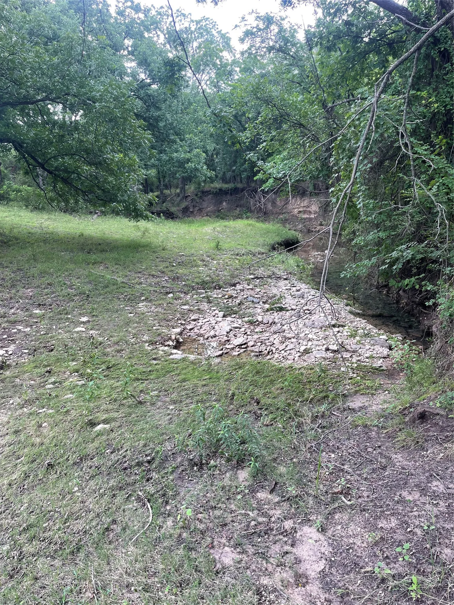 Ranch For Sale in Comanche County , TBD CR 244, Comanche, Texas 76442, 0, 0, Garage spaces, 0 Sqft, built in 0, Price $655,200, mls#21348181, Real Estate Agent in Comanche, Homes For Sale in Comanche county, Homes For Sale in Comanche, Realtor in Comanche Texas, Real Estate Brokerage Independent Realty Texas, Luminita Cordes Realtor