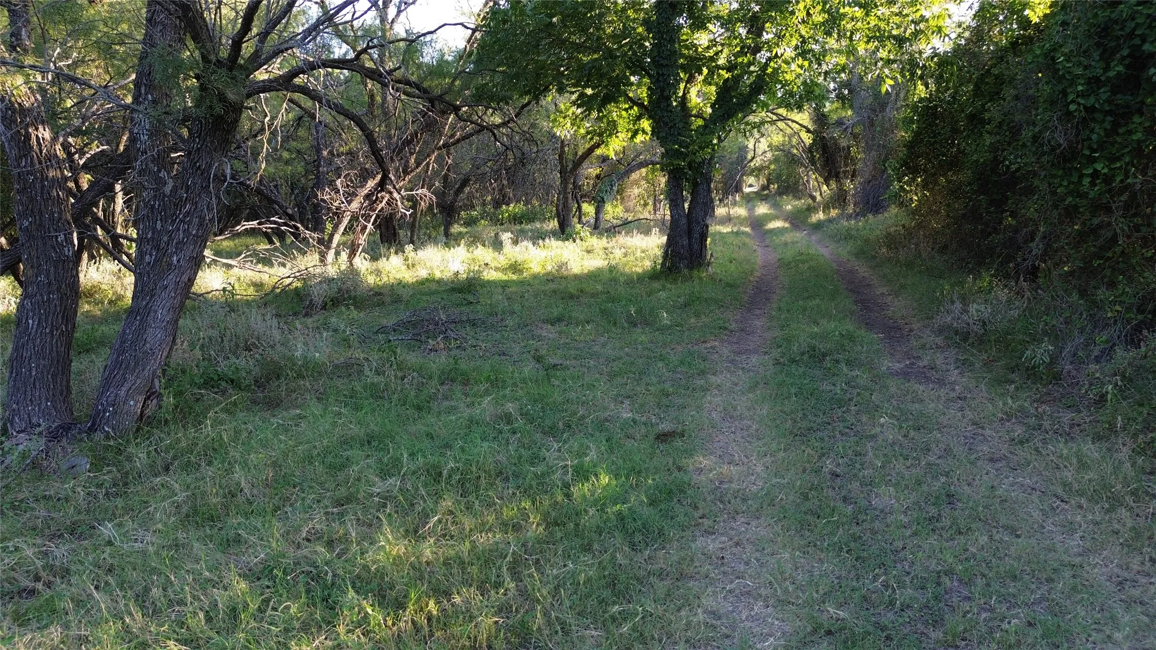 Ranch For Sale in Comanche County , TBD CR 244, Comanche, Texas 76442, 0, 0, Garage spaces, 0 Sqft, built in 0, Price $655,200, mls#21348181, Real Estate Agent in Comanche, Homes For Sale in Comanche county, Homes For Sale in Comanche, Realtor in Comanche Texas, Real Estate Brokerage Independent Realty Texas, Luminita Cordes Realtor