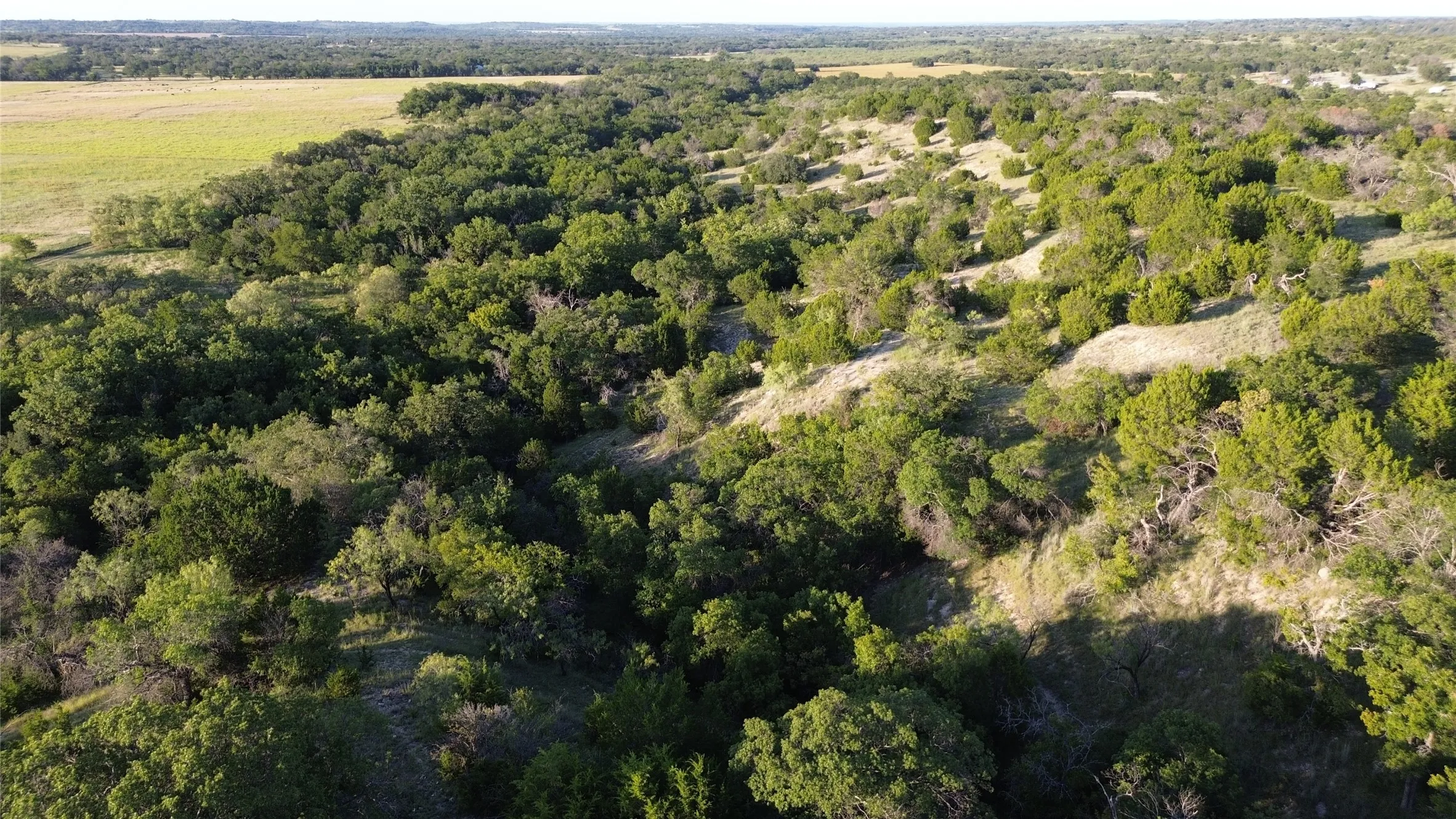 Ranch For Sale in Comanche County , TBD CR 244, Comanche, Texas 76442, 0, 0, Garage spaces, 0 Sqft, built in 0, Price $655,200, mls#21348181, Real Estate Agent in Comanche, Homes For Sale in Comanche county, Homes For Sale in Comanche, Realtor in Comanche Texas, Real Estate Brokerage Independent Realty Texas, Luminita Cordes Realtor
