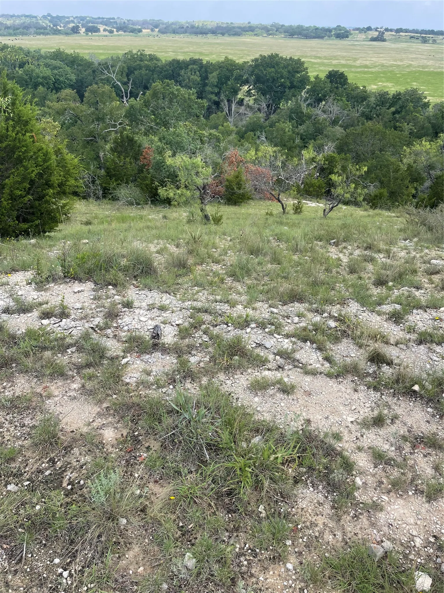 Ranch For Sale in Comanche County , TBD CR 244, Comanche, Texas 76442, 0, 0, Garage spaces, 0 Sqft, built in 0, Price $655,200, mls#21348181, Real Estate Agent in Comanche, Homes For Sale in Comanche county, Homes For Sale in Comanche, Realtor in Comanche Texas, Real Estate Brokerage Independent Realty Texas, Luminita Cordes Realtor