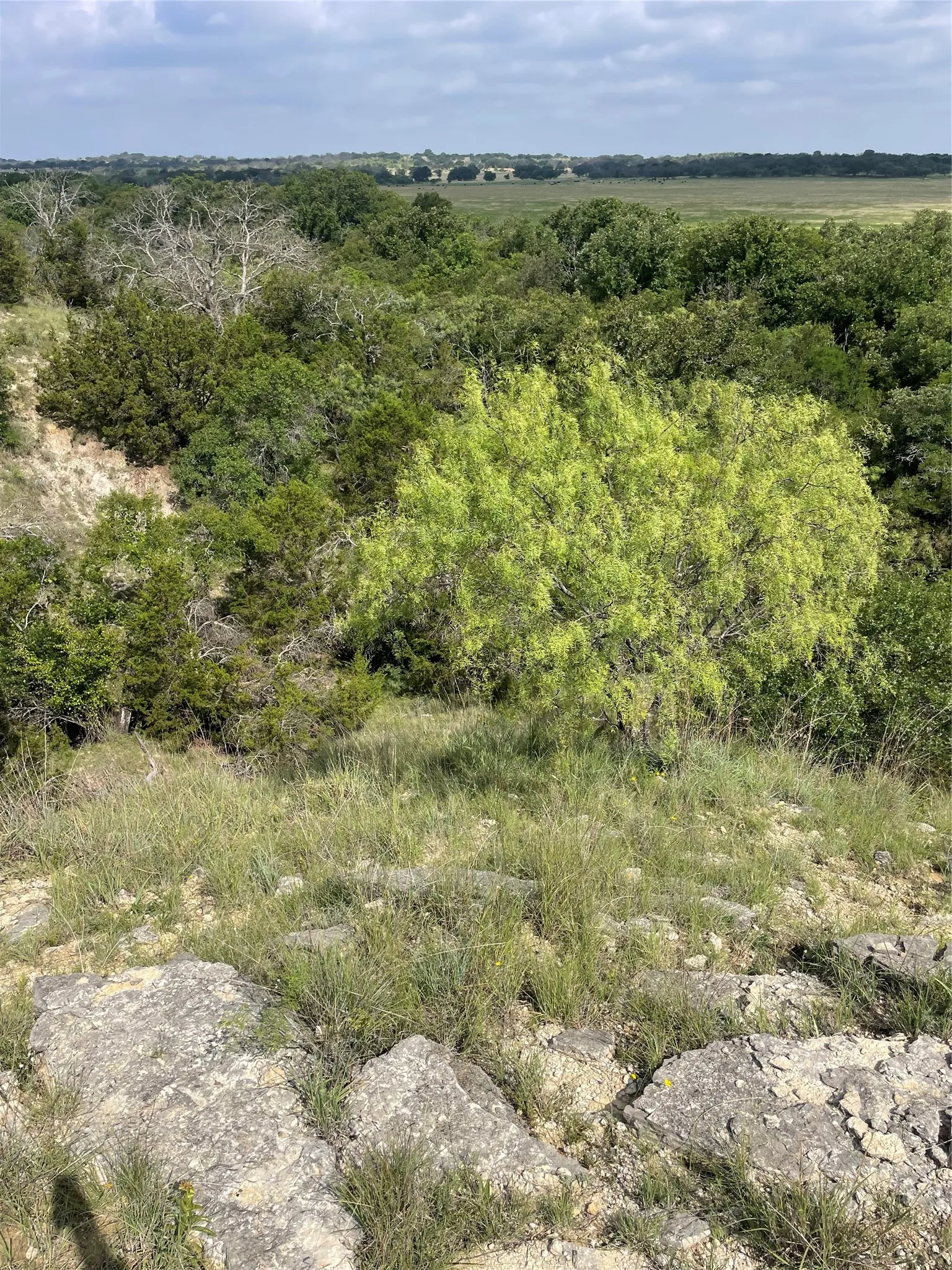 Ranch For Sale in Comanche County , TBD CR 244, Comanche, Texas 76442, 0, 0, Garage spaces, 0 Sqft, built in 0, Price $655,200, mls#21348181, Real Estate Agent in Comanche, Homes For Sale in Comanche county, Homes For Sale in Comanche, Realtor in Comanche Texas, Real Estate Brokerage Independent Realty Texas, Luminita Cordes Realtor