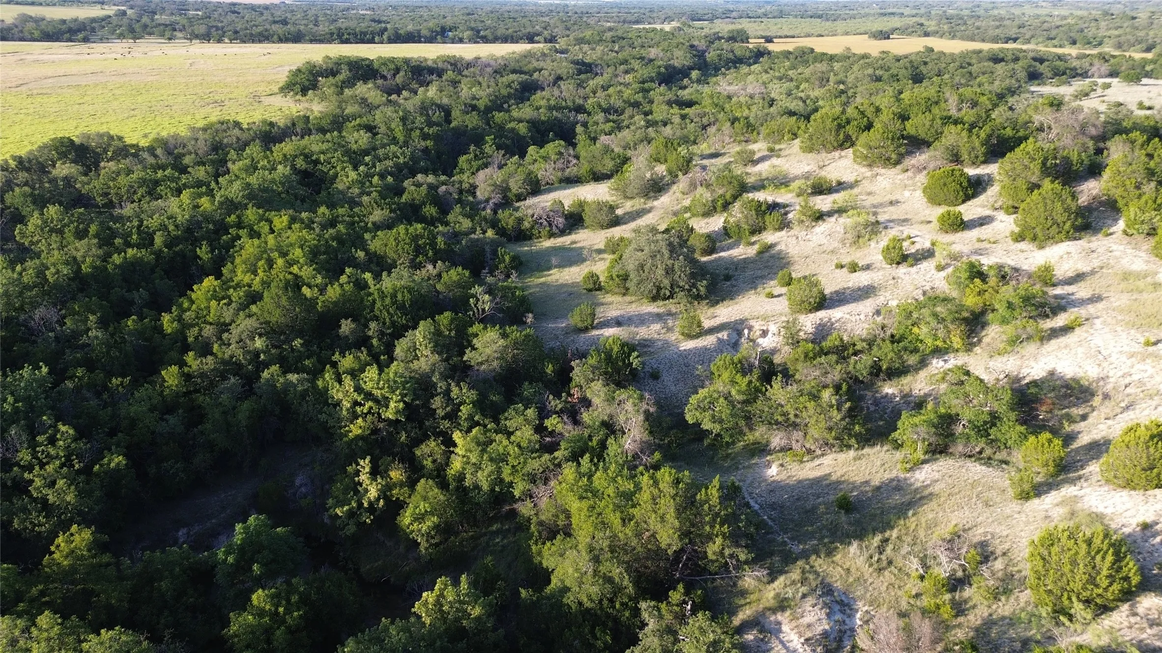 Ranch For Sale in Comanche County , TBD CR 244, Comanche, Texas 76442, 0, 0, Garage spaces, 0 Sqft, built in 0, Price $655,200, mls#21348181, Real Estate Agent in Comanche, Homes For Sale in Comanche county, Homes For Sale in Comanche, Realtor in Comanche Texas, Real Estate Brokerage Independent Realty Texas, Luminita Cordes Realtor
