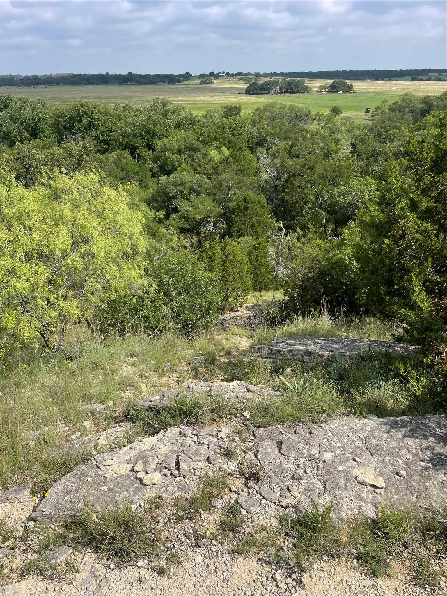 Ranch For Sale in Comanche County , TBD CR 244, Comanche, Texas 76442, 0, 0, Garage spaces, 0 Sqft, built in 0, Price $655,200, mls#21348181, Real Estate Agent in Comanche, Homes For Sale in Comanche county, Homes For Sale in Comanche, Realtor in Comanche Texas, Real Estate Brokerage Independent Realty Texas, Luminita Cordes Realtor