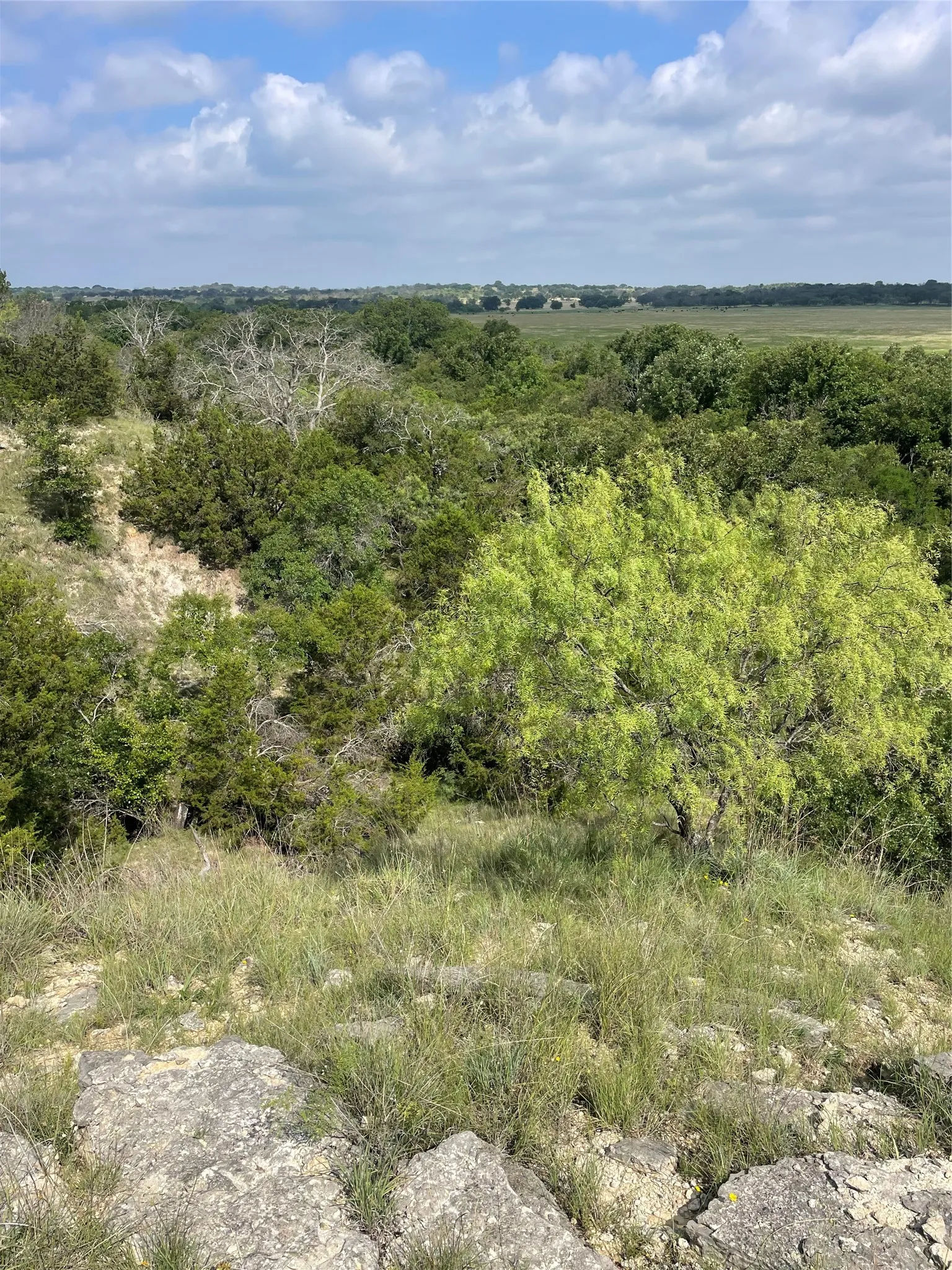 Ranch For Sale in Comanche County , TBD CR 244, Comanche, Texas 76442, 0, 0, Garage spaces, 0 Sqft, built in 0, Price $655,200, mls#21348181, Real Estate Agent in Comanche, Homes For Sale in Comanche county, Homes For Sale in Comanche, Realtor in Comanche Texas, Real Estate Brokerage Independent Realty Texas, Luminita Cordes Realtor