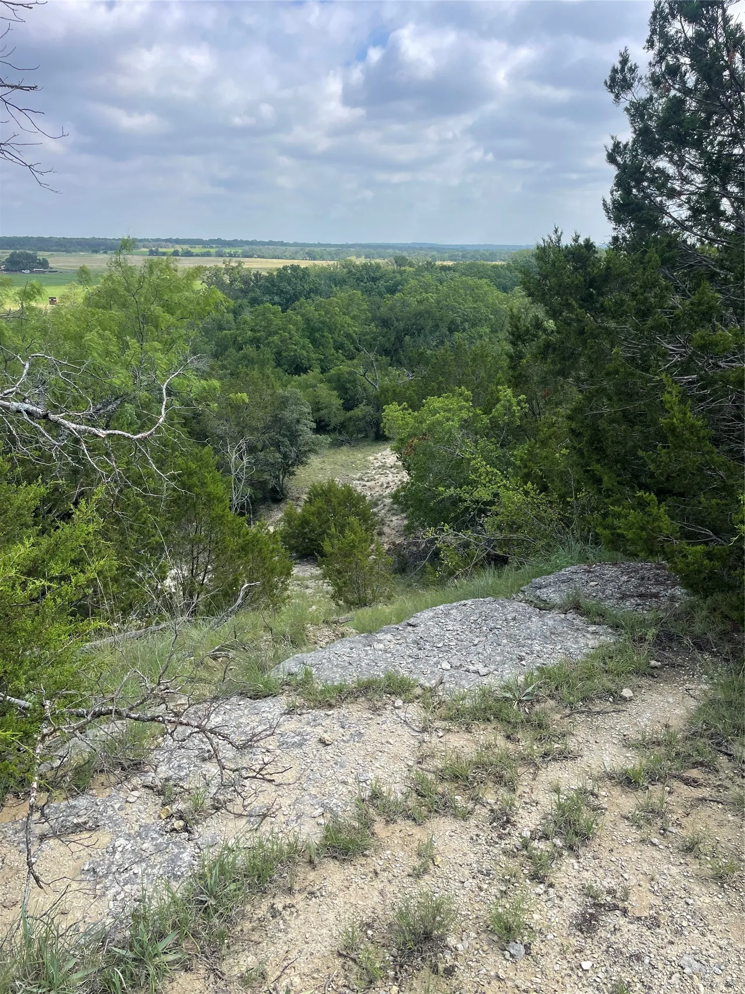 Ranch For Sale in Comanche County , TBD CR 244, Comanche, Texas 76442, 0, 0, Garage spaces, 0 Sqft, built in 0, Price $655,200, mls#21348181, Real Estate Agent in Comanche, Homes For Sale in Comanche county, Homes For Sale in Comanche, Realtor in Comanche Texas, Real Estate Brokerage Independent Realty Texas, Luminita Cordes Realtor
