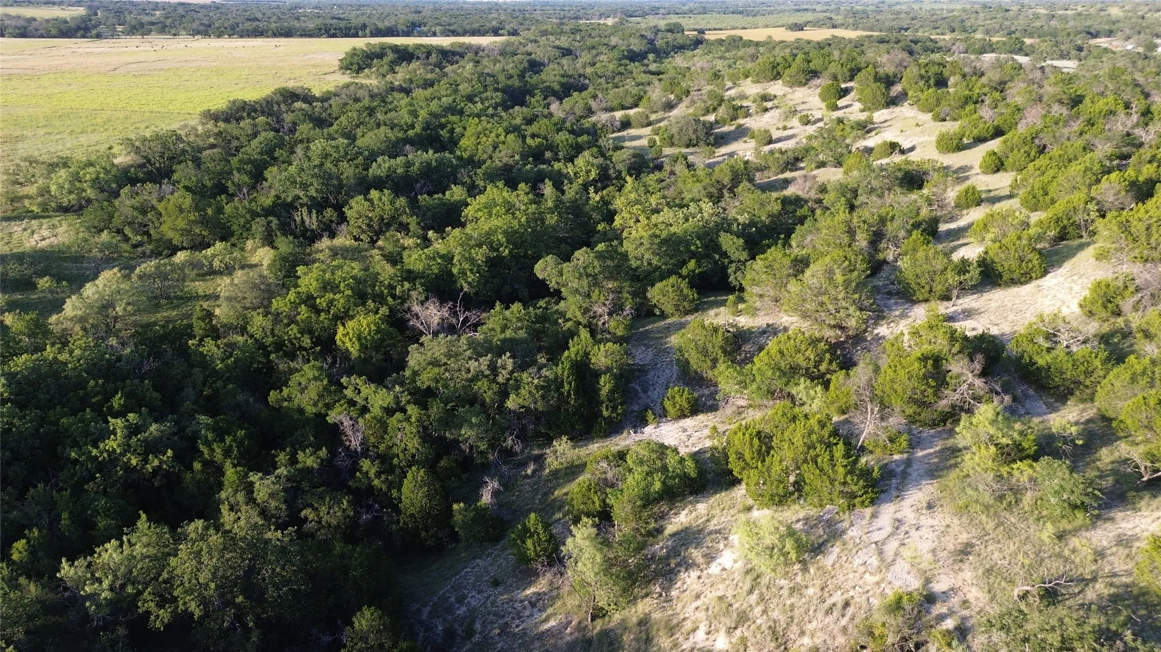 Ranch For Sale in Comanche County , TBD CR 244, Comanche, Texas 76442, 0, 0, Garage spaces, 0 Sqft, built in 0, Price $655,200, mls#21348181, Real Estate Agent in Comanche, Homes For Sale in Comanche county, Homes For Sale in Comanche, Realtor in Comanche Texas, Real Estate Brokerage Independent Realty Texas, Luminita Cordes Realtor
