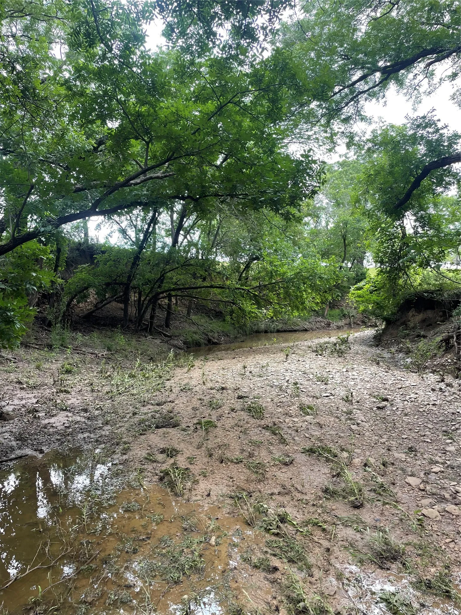 Ranch For Sale in Comanche County , TBD CR 244, Comanche, Texas 76442, 0, 0, Garage spaces, 0 Sqft, built in 0, Price $655,200, mls#21348181, Real Estate Agent in Comanche, Homes For Sale in Comanche county, Homes For Sale in Comanche, Realtor in Comanche Texas, Real Estate Brokerage Independent Realty Texas, Luminita Cordes Realtor