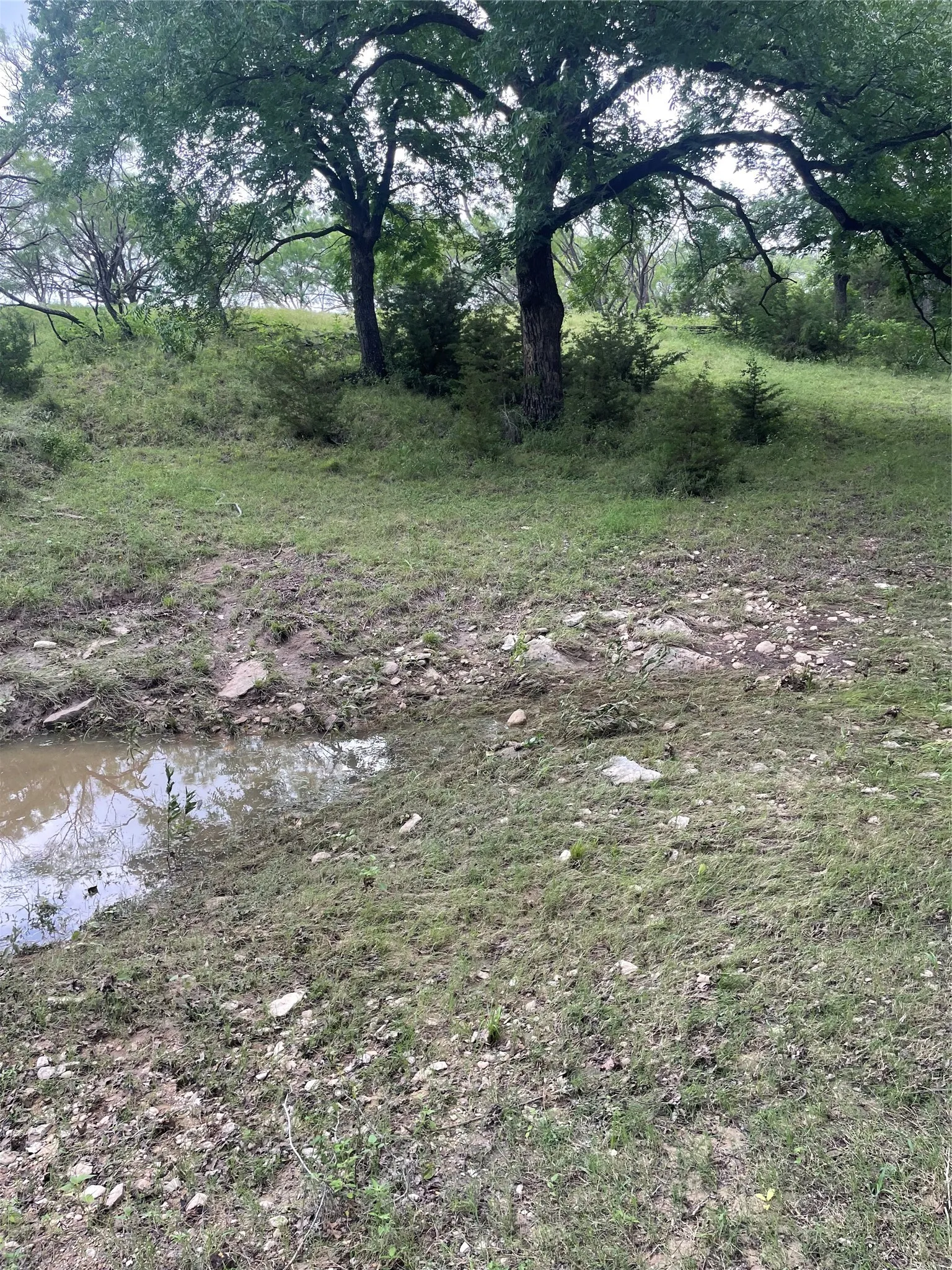 Ranch For Sale in Comanche County , TBD CR 244, Comanche, Texas 76442, 0, 0, Garage spaces, 0 Sqft, built in 0, Price $655,200, mls#21348181, Real Estate Agent in Comanche, Homes For Sale in Comanche county, Homes For Sale in Comanche, Realtor in Comanche Texas, Real Estate Brokerage Independent Realty Texas, Luminita Cordes Realtor