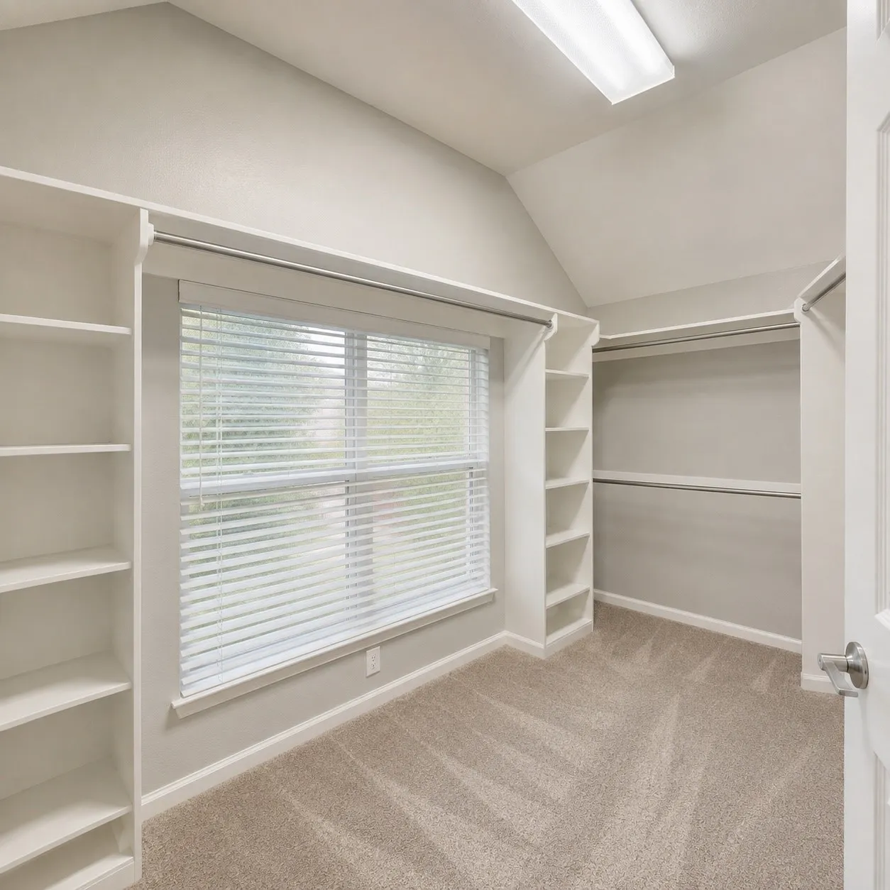 Spacious room featuring a large window with blinds, extensive built-in shelving, hanging rods, carpet flooring, and a vaulted ceiling