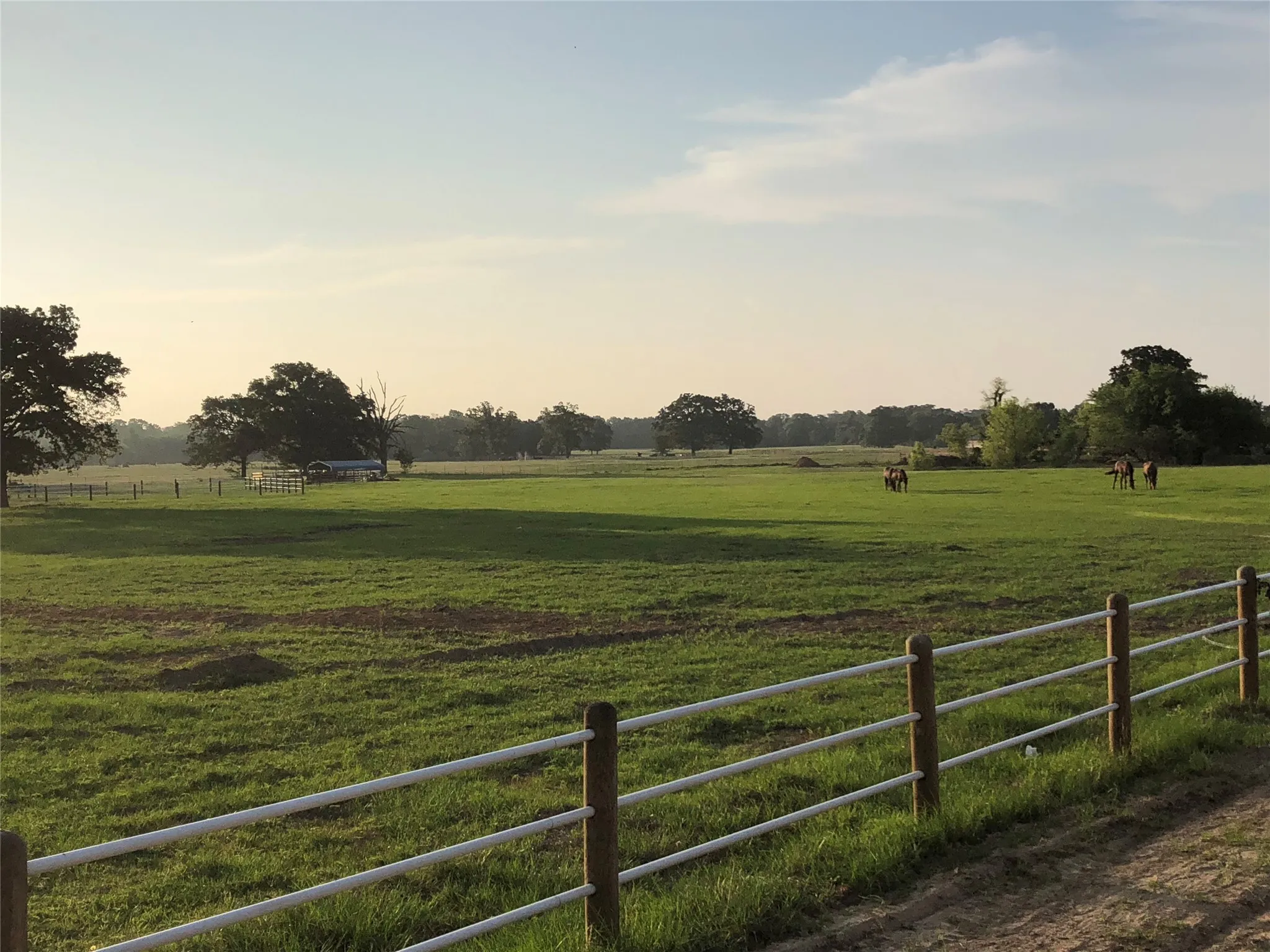 Hotel/Motel For Sale in Wood County , 4250 Hwy 154, Yantis, Texas 75497, 0, 0, Garage spaces, 0 Sqft, built in 2018, mls#21348223, Real Estate Agent in Yantis, Homes For Sale in Wood county, Homes For Sale in Yantis, Realtor in Yantis Texas, Real Estate Brokerage Independent Realty Texas, Luminita Cordes Realtor