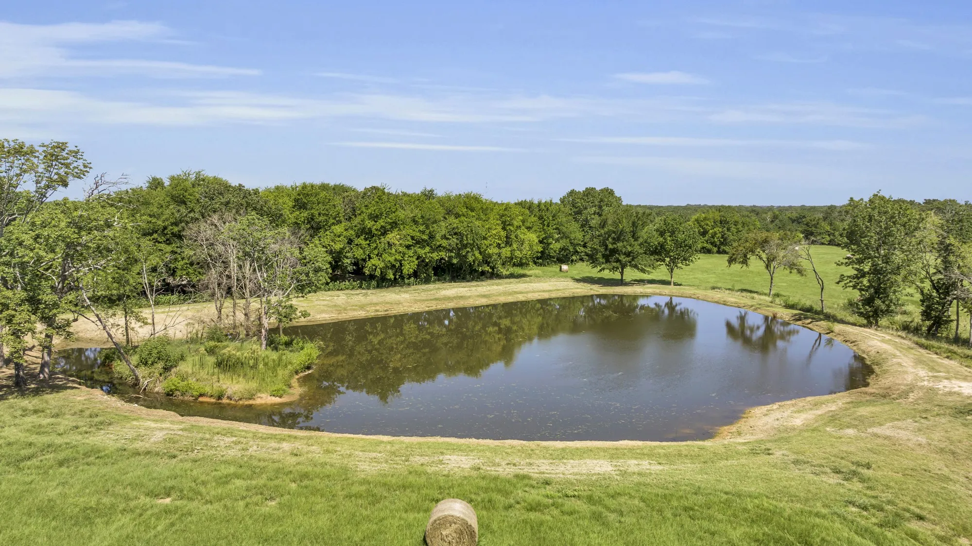Natural pond feature surrounded by green pastures and mature trees