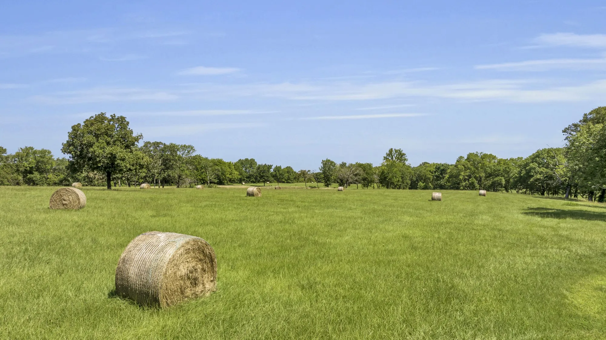 Warehouse For Sale in Wood County , 365 County Road 1534, Alba, Texas 75410, 4 Bedroom, 4 Bathroom, 3 Garage spaces, 3,788 Sqft, built in 2015, mls#21348239, Real Estate Agent in Alba, Homes For Sale in Wood county, Homes For Sale in Alba, Realtor in Alba Texas, Real Estate Brokerage Independent Realty Texas, Luminita Cordes Realtor