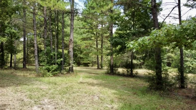 Improved Land For Sale in Cass County , 1317 N Main Street, Linden, Texas 75563, 0, 0, Garage spaces, 0 Sqft, built in 0, mls#21348276, Real Estate Agent in Linden, Homes For Sale in Cass county, Homes For Sale in Linden, Realtor in Linden Texas, Real Estate Brokerage Independent Realty Texas, Luminita Cordes Realtor