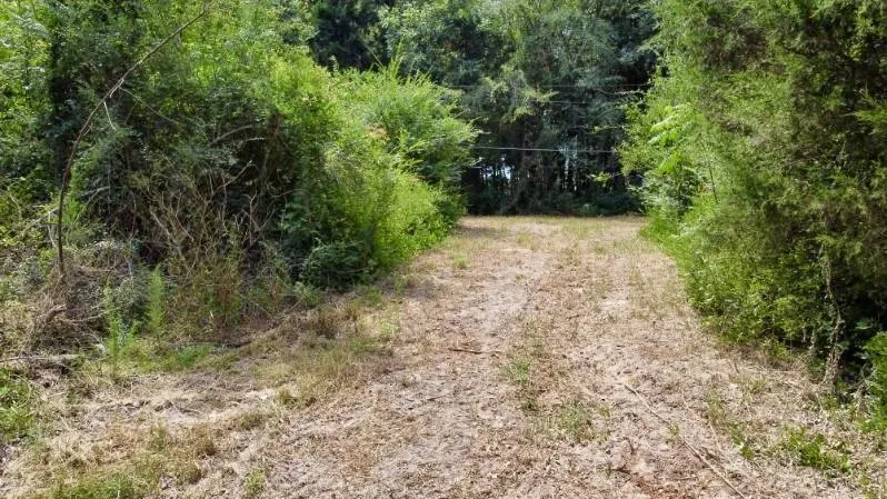 Improved Land For Sale in Cass County , 1317 N Main Street, Linden, Texas 75563, 0, 0, Garage spaces, 0 Sqft, built in 0, mls#21348276, Real Estate Agent in Linden, Homes For Sale in Cass county, Homes For Sale in Linden, Realtor in Linden Texas, Real Estate Brokerage Independent Realty Texas, Luminita Cordes Realtor